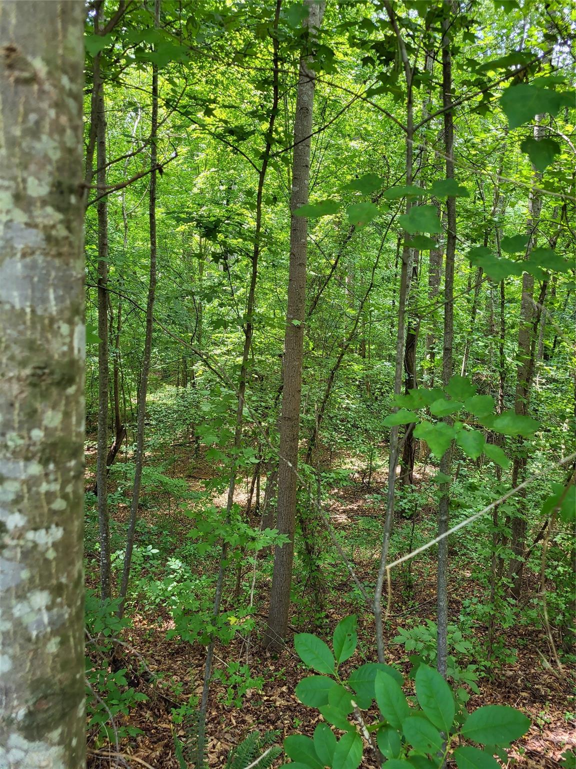 Lincolnton, NC Lot for Sale CAR4002367 Caruso Homes