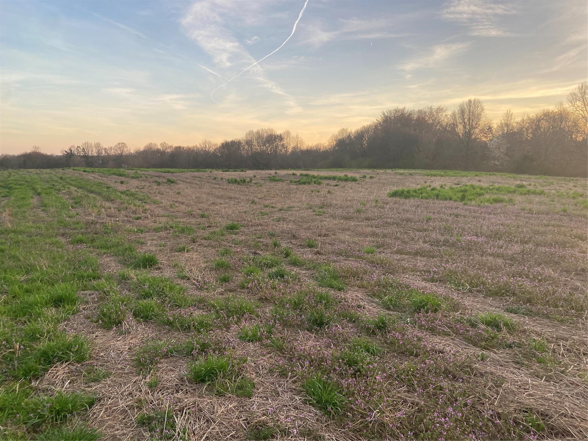 Marshville, NC Lot for Sale CAR4004590 Caruso Homes