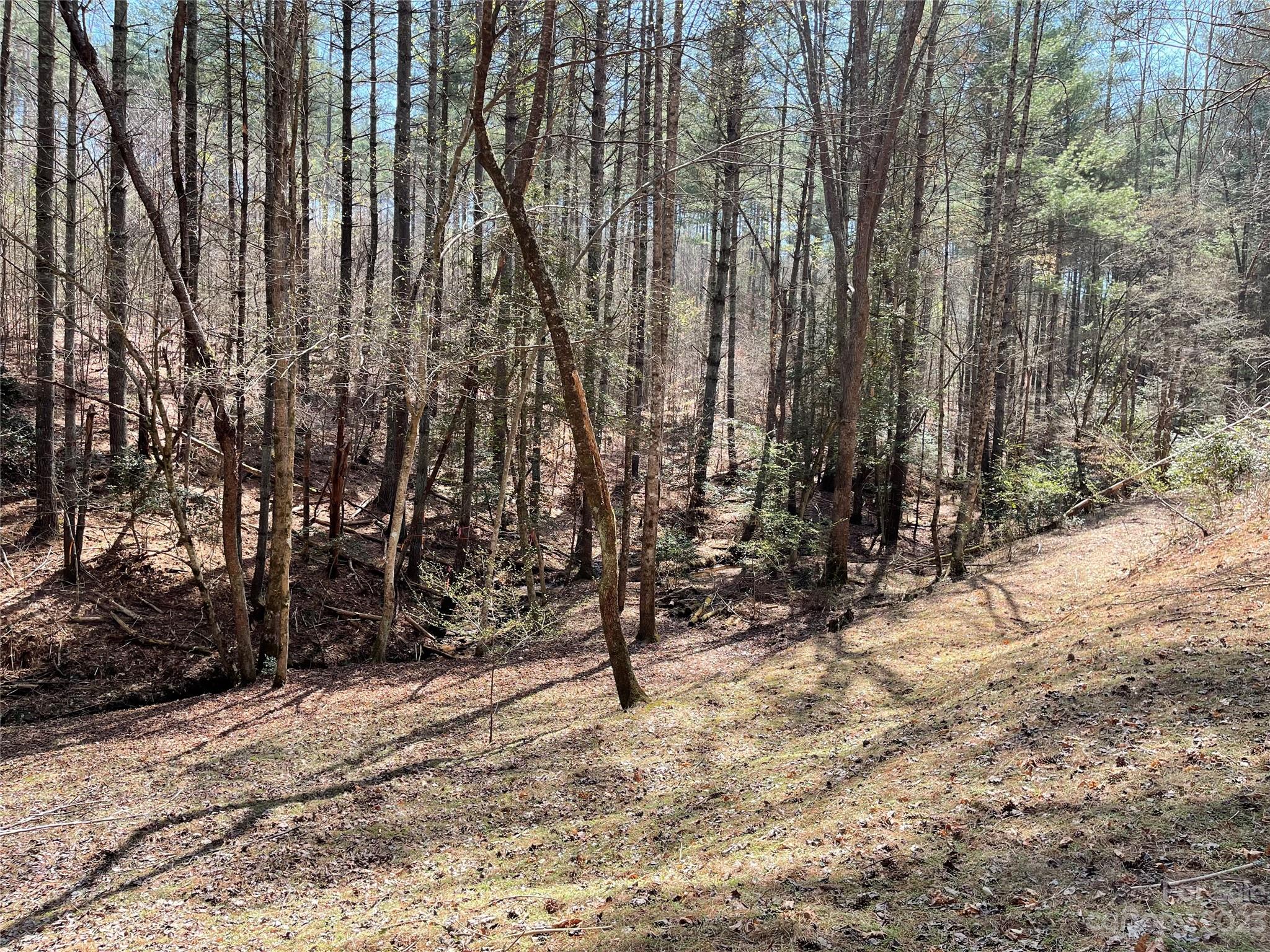 Valdese, NC Lot for Sale CAR4017076 Caruso Homes