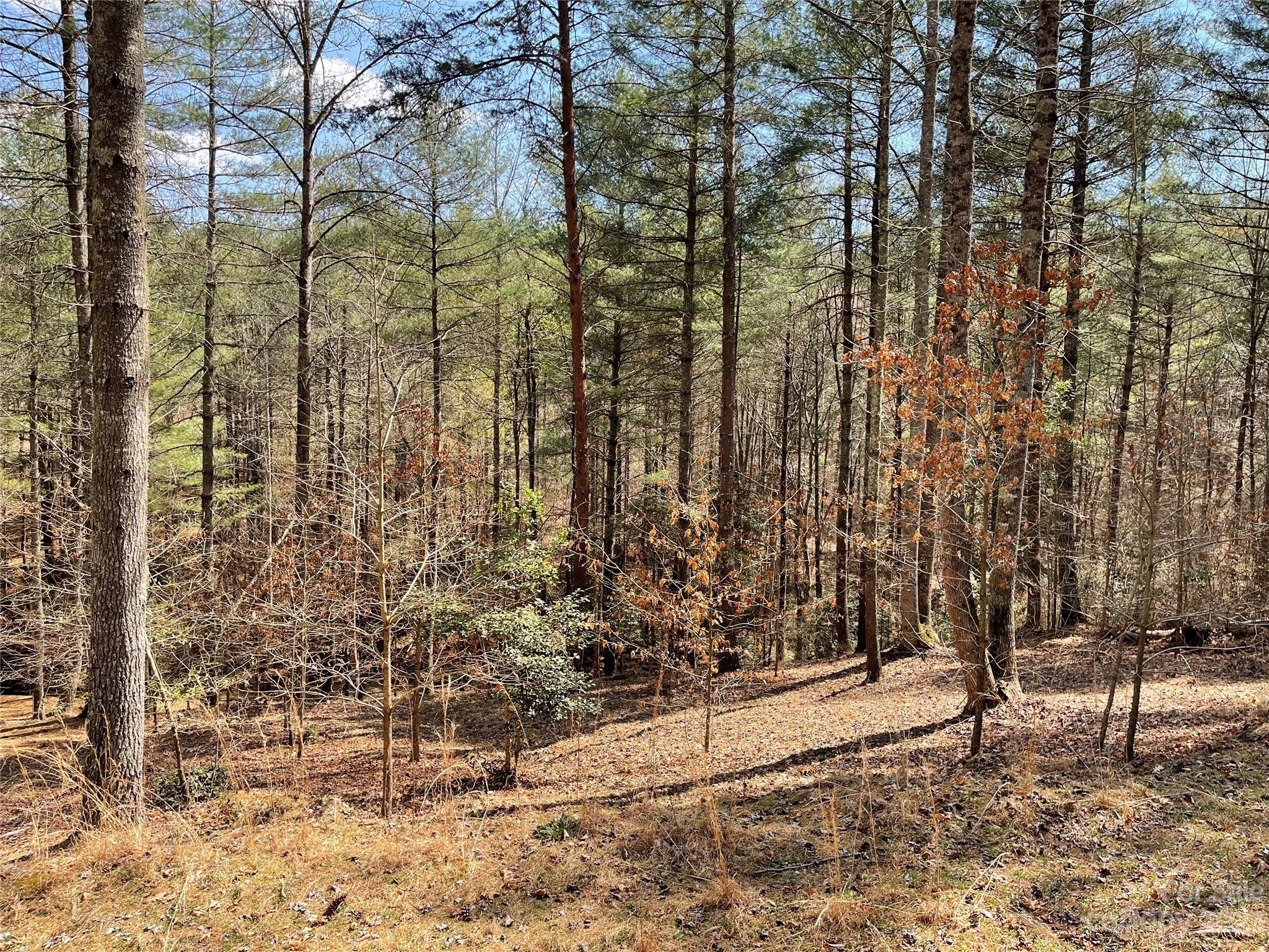 Valdese, NC Lot for Sale CAR4017076 Caruso Homes