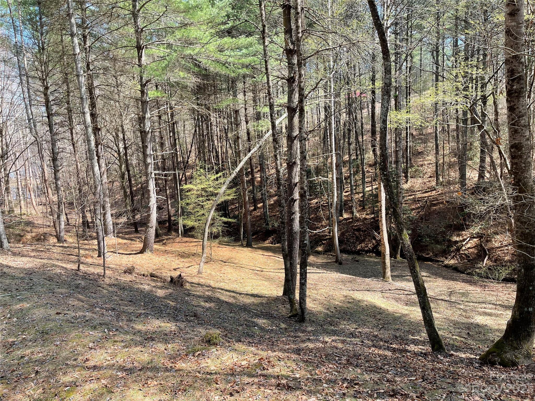 Valdese, NC Lot for Sale CAR4017076 Caruso Homes