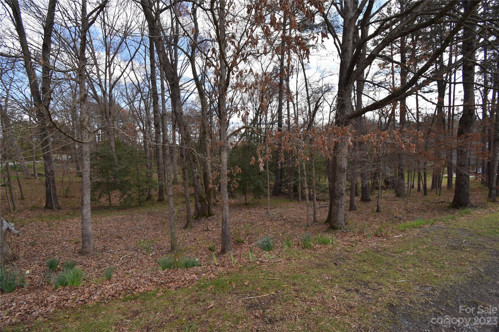 Taylorsville, NC Lot for Sale CAR4017465 Caruso Homes