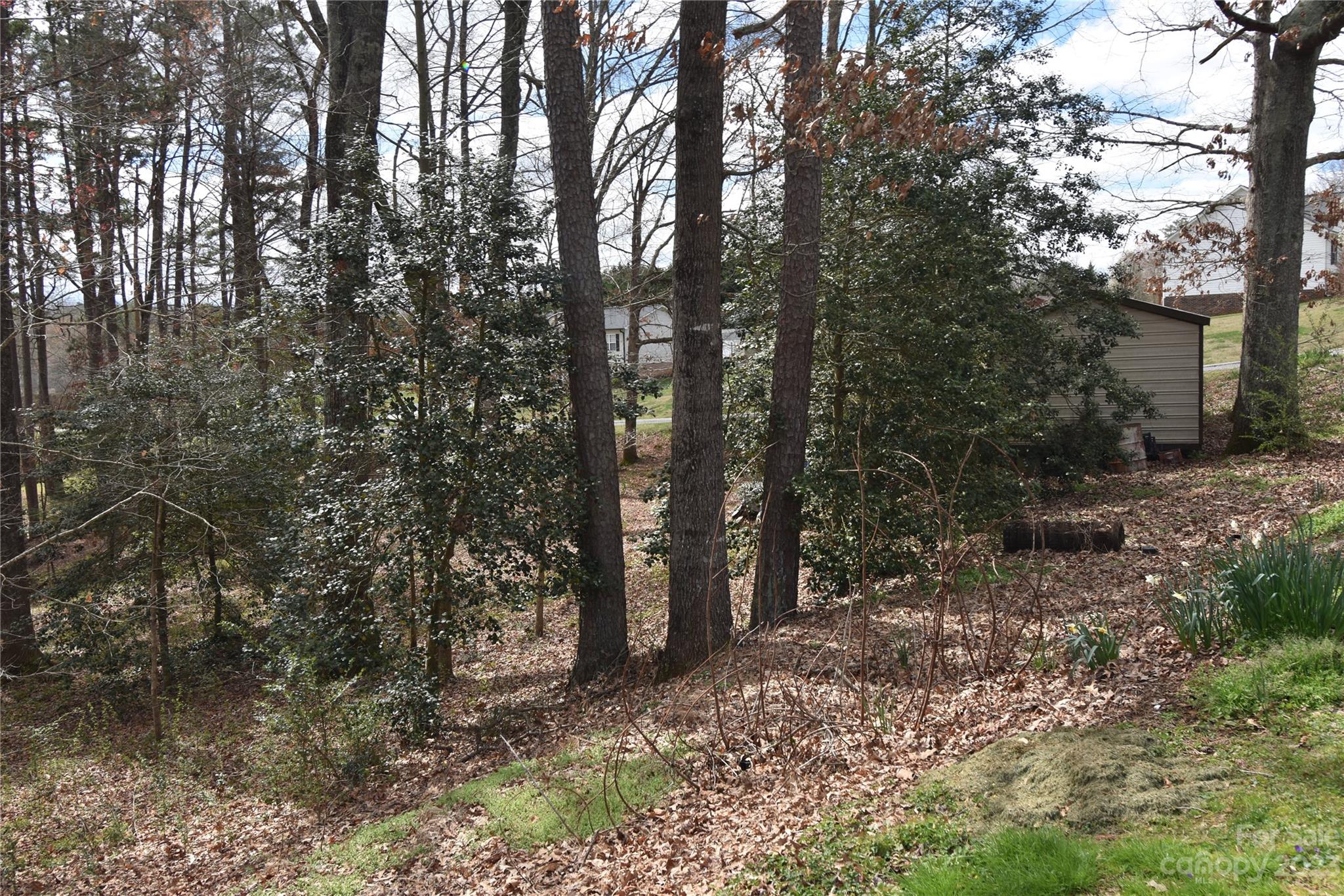 Taylorsville, NC Lot for Sale CAR4017465 Caruso Homes
