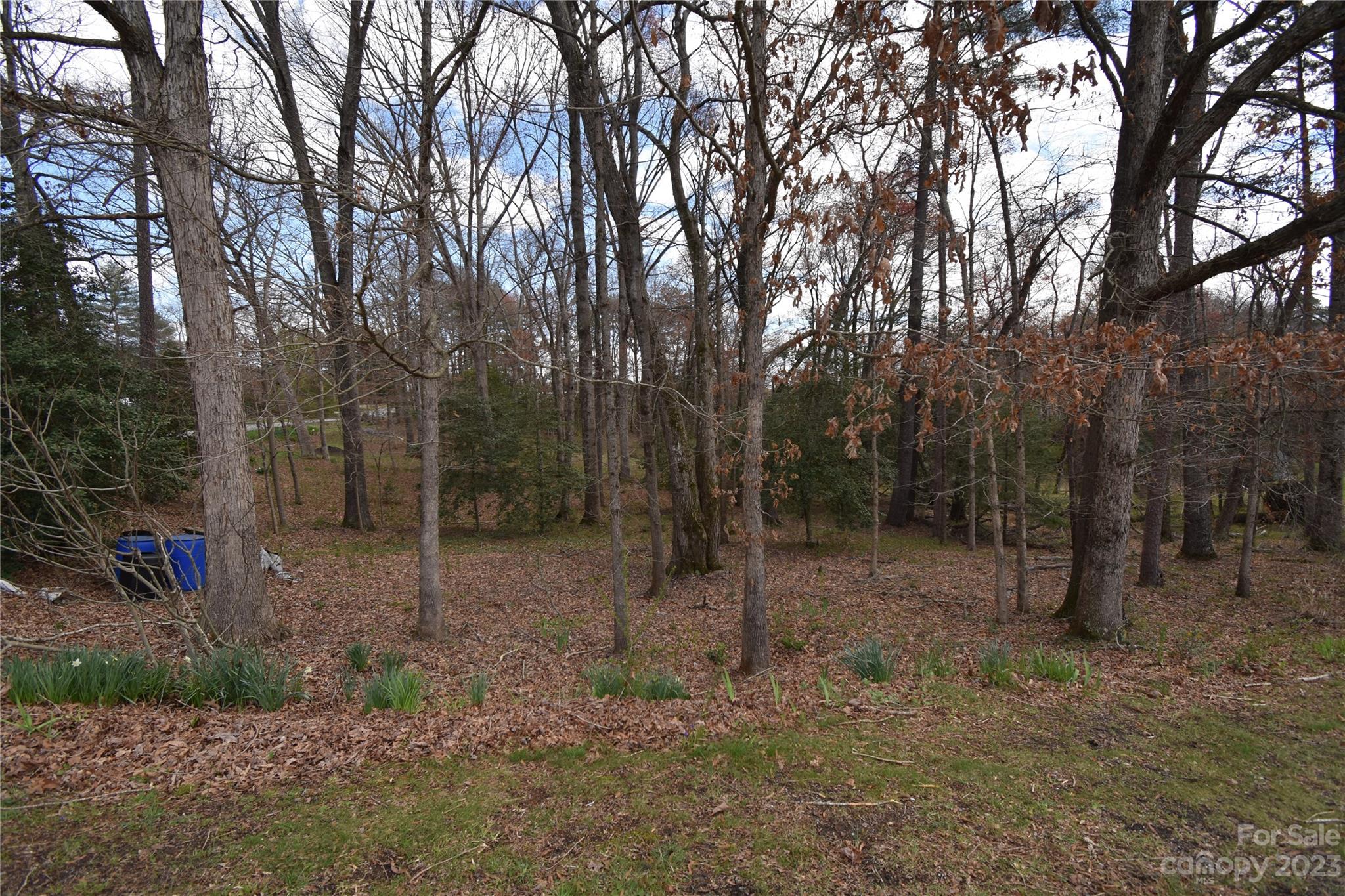 Taylorsville, NC Lot for Sale CAR4017465 Caruso Homes