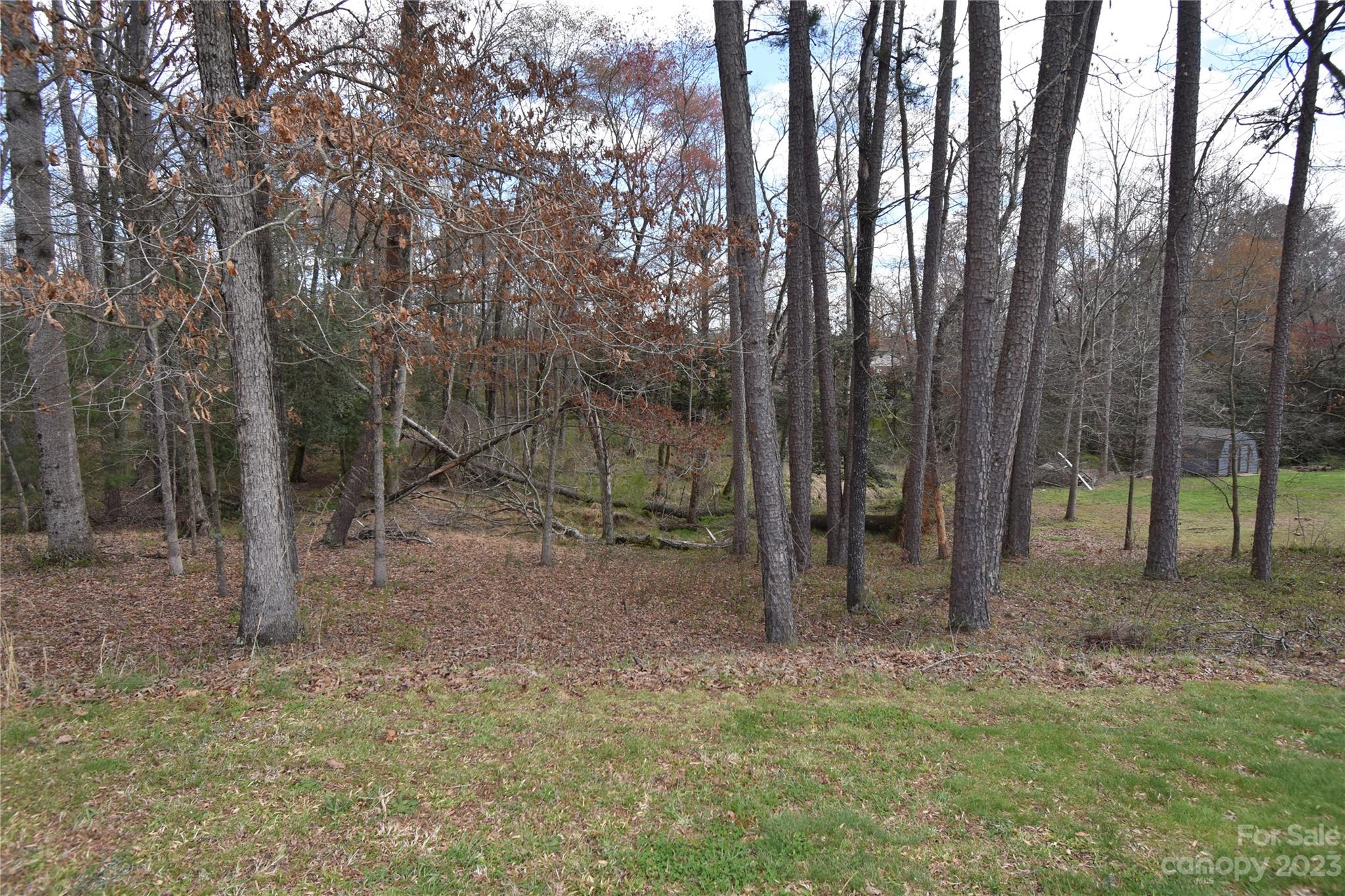 Taylorsville, NC Lot for Sale CAR4017480 Caruso Homes