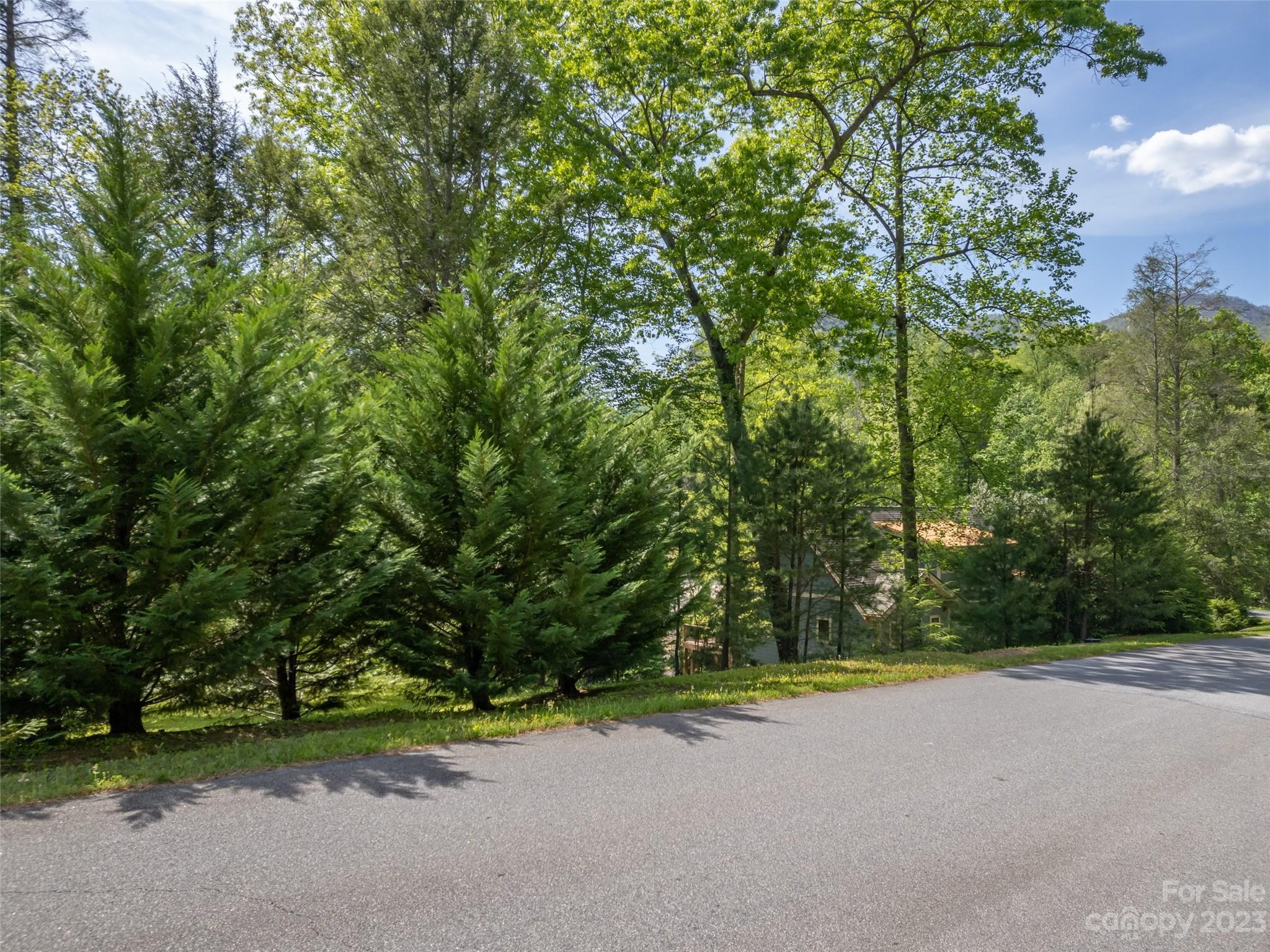 Lake Lure, NC Lot for Sale CAR4022576 Caruso Homes