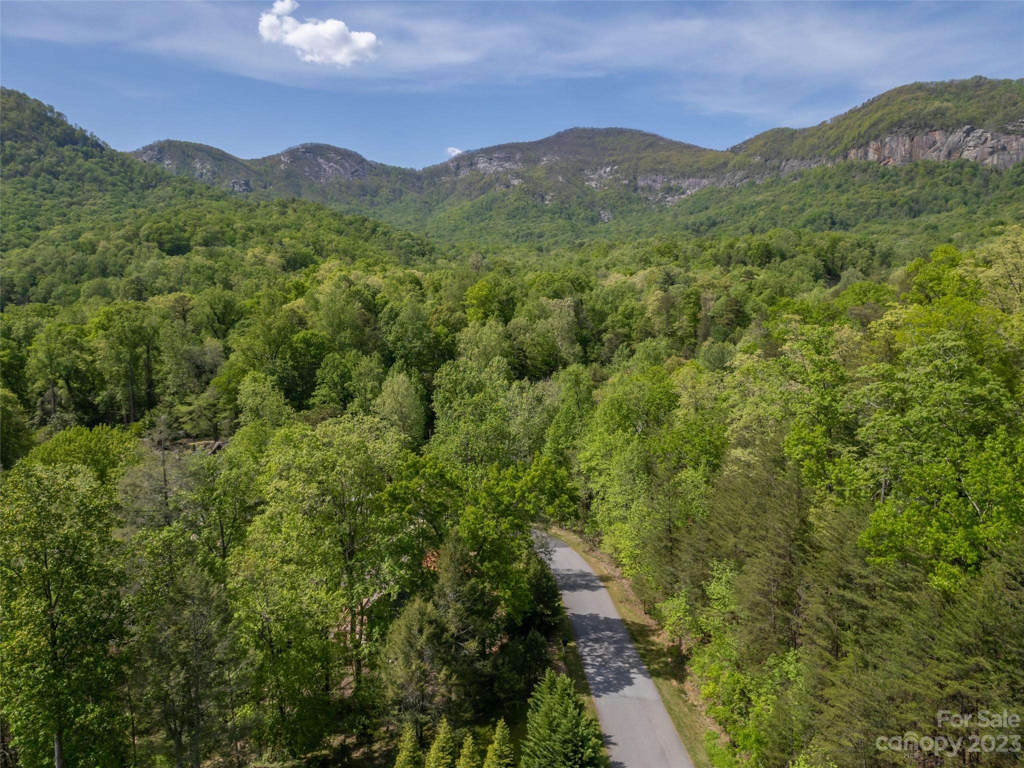 Lake Lure, NC Lot for Sale CAR4022576 Caruso Homes