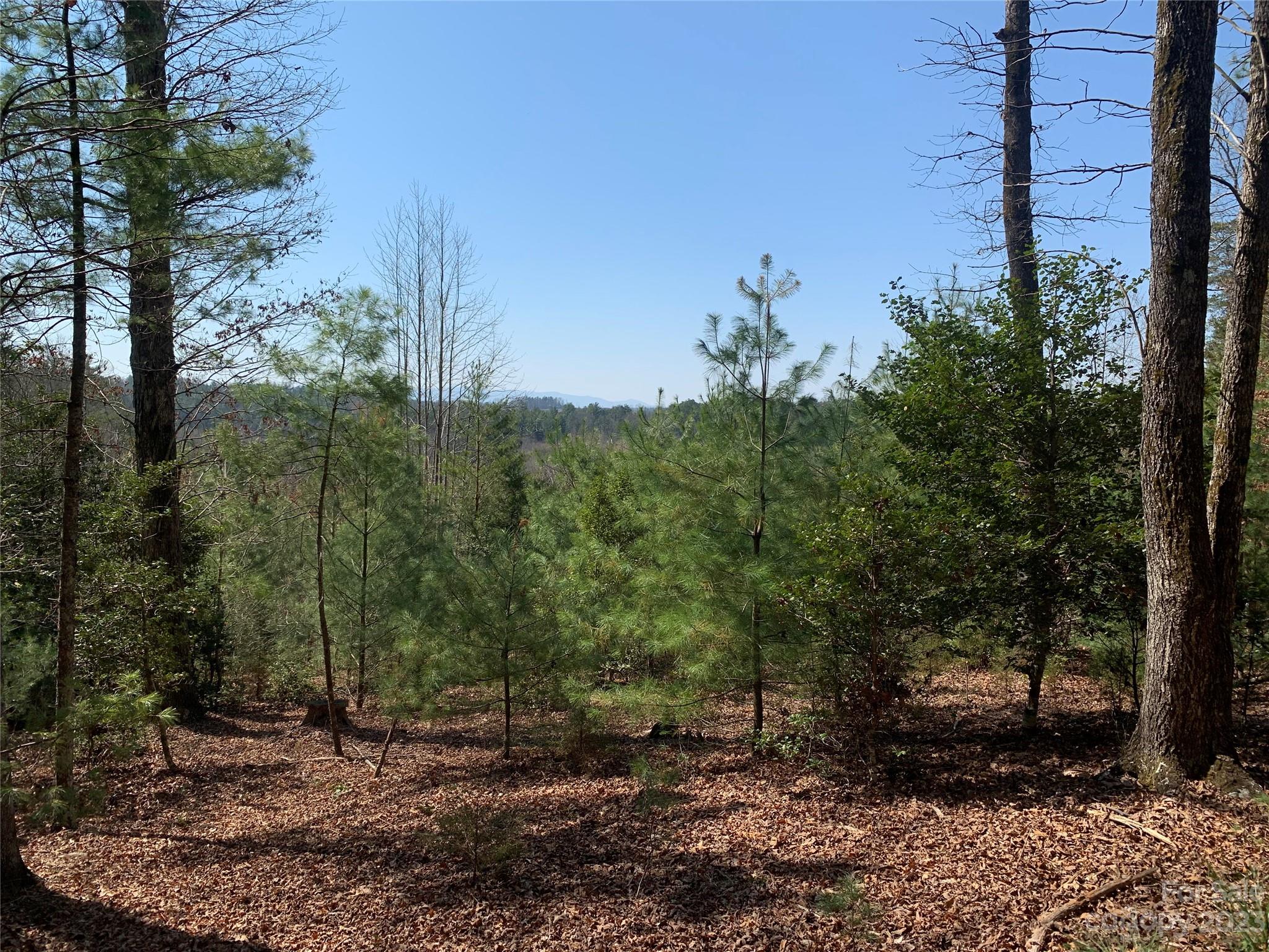 NC Lot for Sale CAR4023458 Caruso Homes