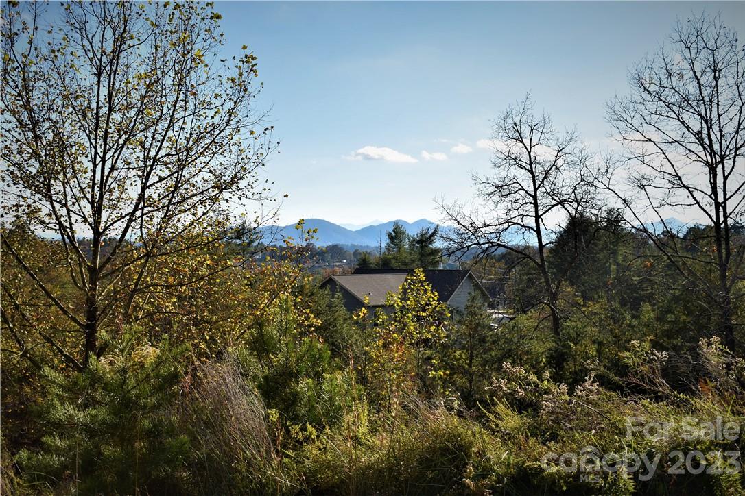 Weaverville, NC Lot for Sale CAR4024308 Caruso Homes