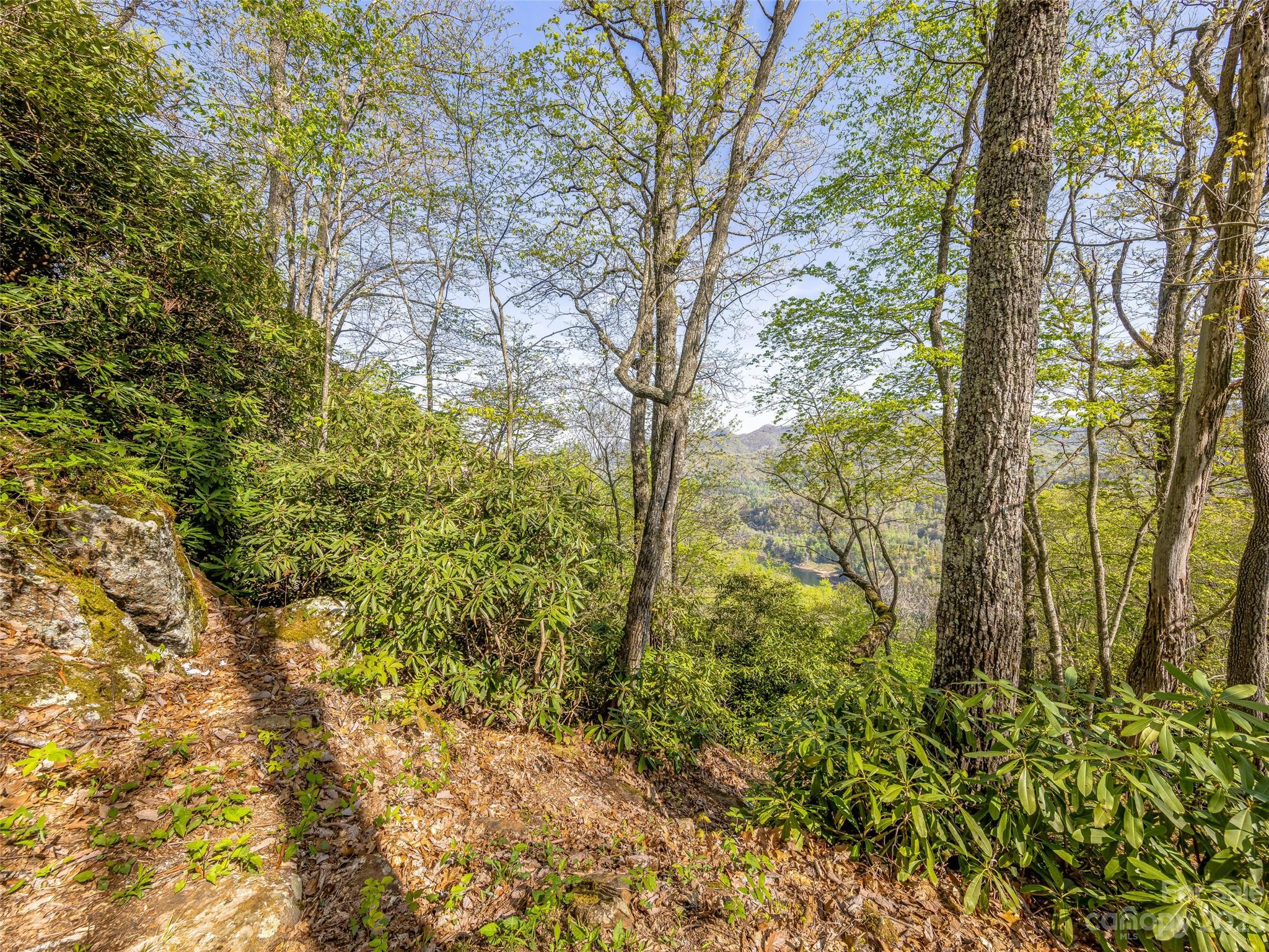 Tuckasegee, NC Lot for Sale CAR4024439 Caruso Homes