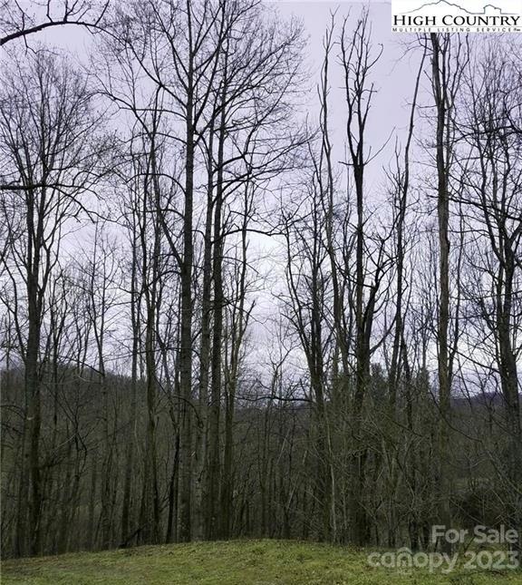 Valle Crucis, NC Lot for Sale CAR4032386 Caruso Homes