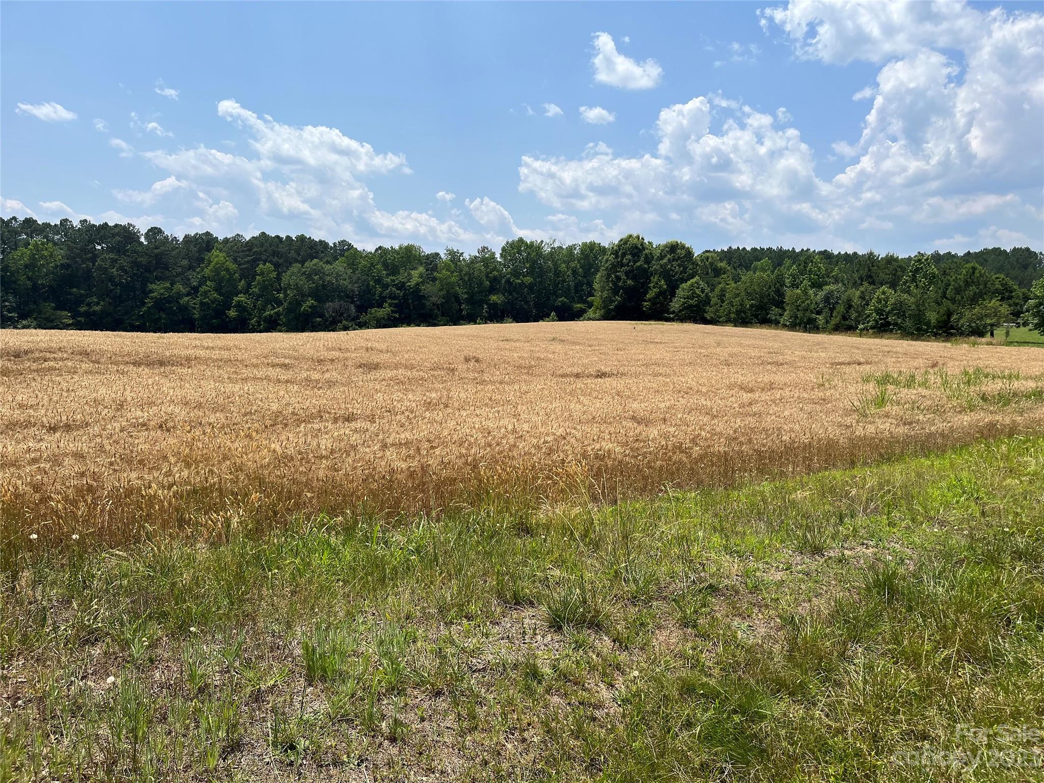 Albemarle, NC Lot for Sale CAR4041560 Caruso Homes