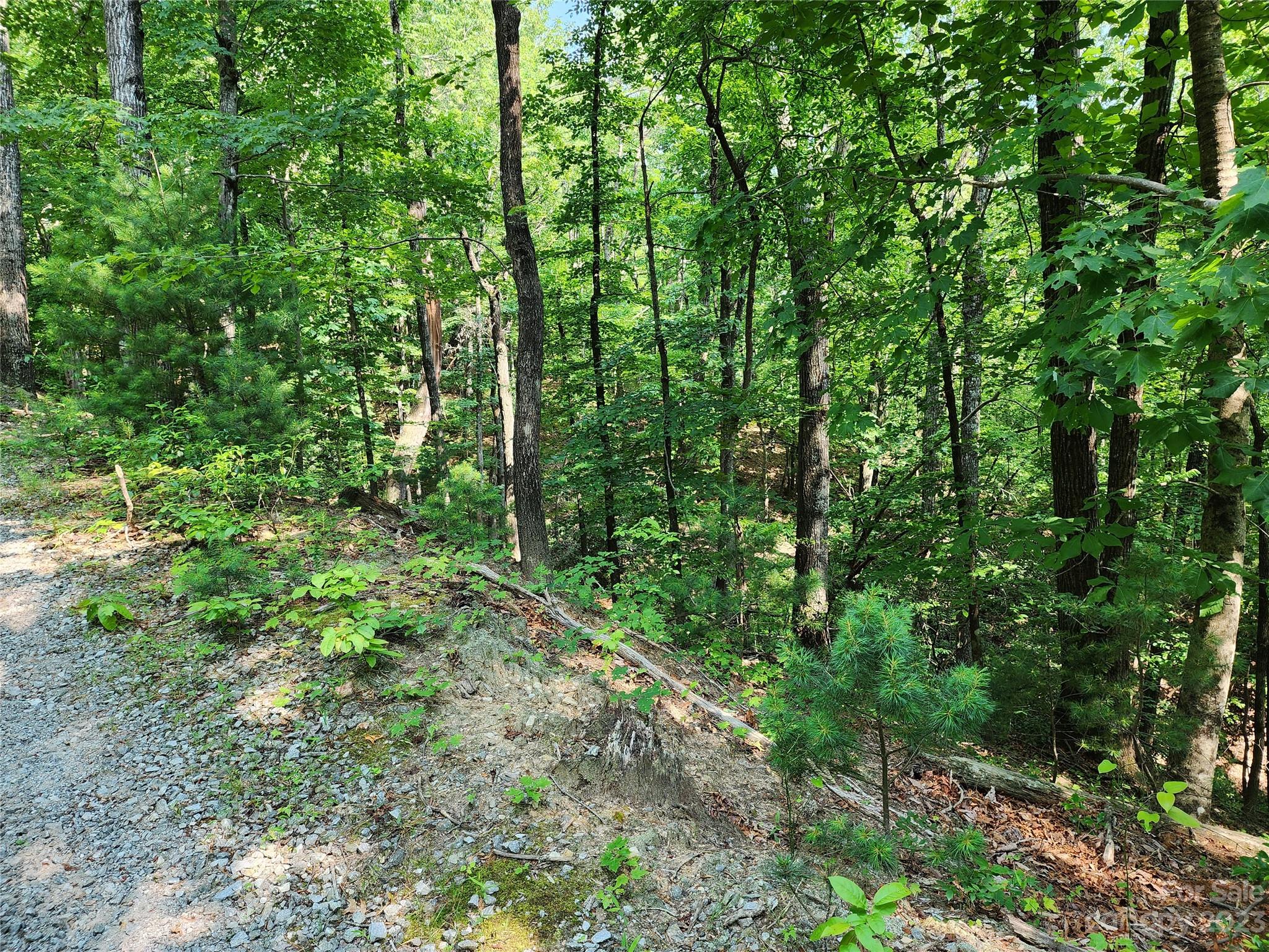 Mcgrady, NC Lot for Sale CAR4043777 Caruso Homes