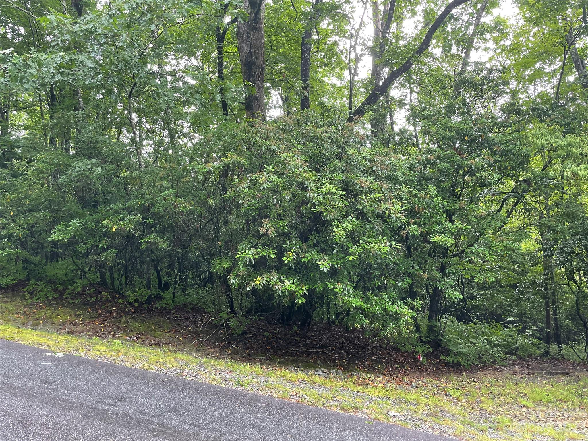 brevard-nc-lot-for-sale-car4044803-caruso-homes