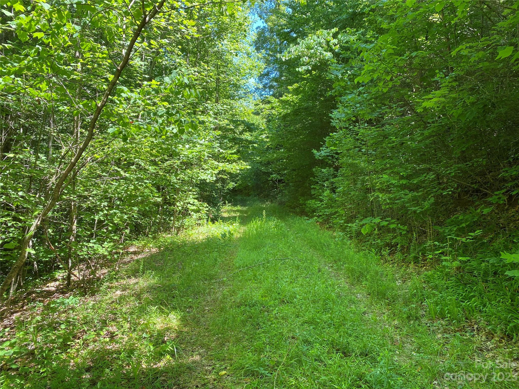 Union Mills, NC Lot for Sale CAR4046568 Caruso Homes