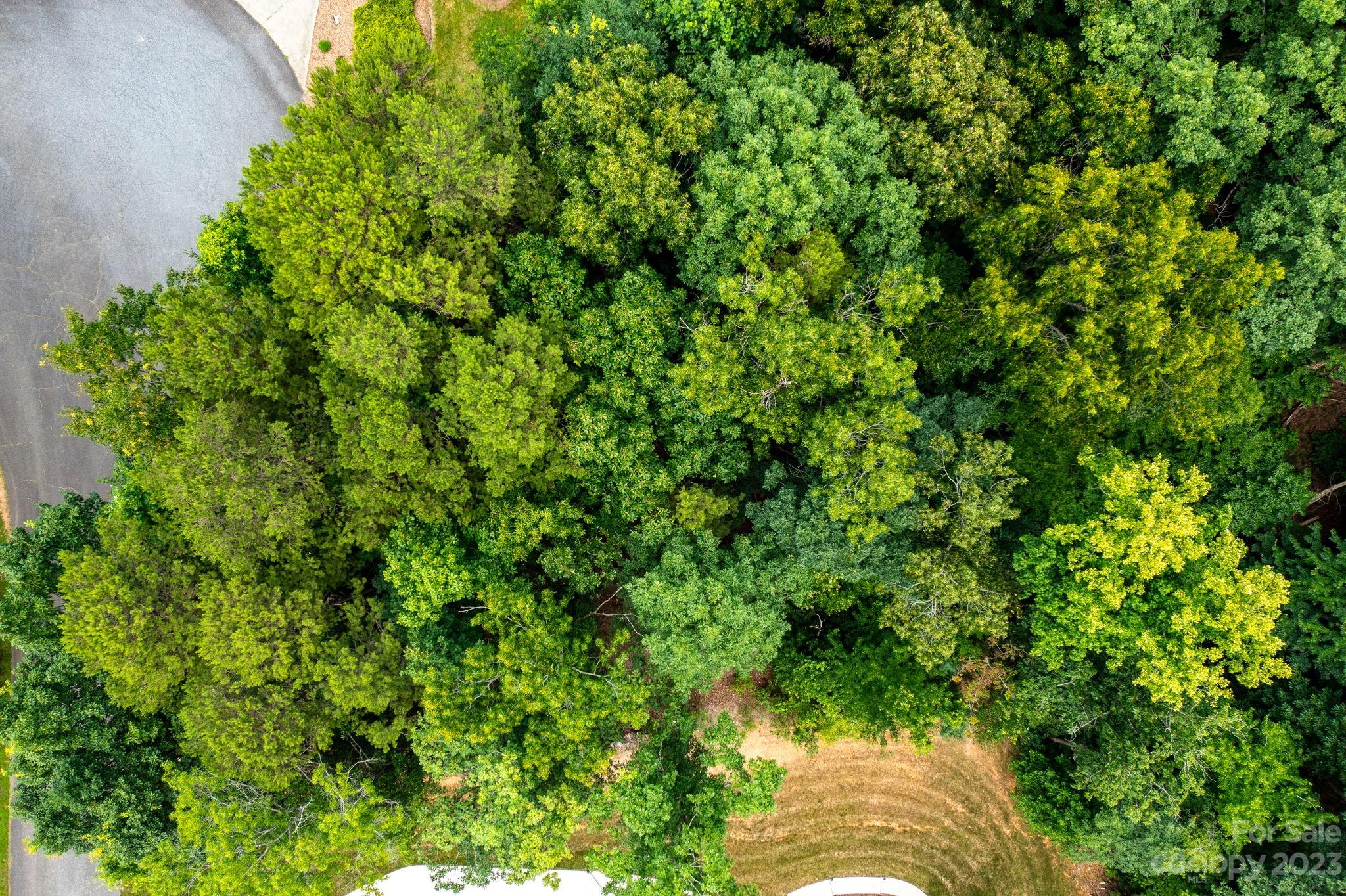 Hildebran, NC Lot for Sale CAR4046945 Caruso Homes