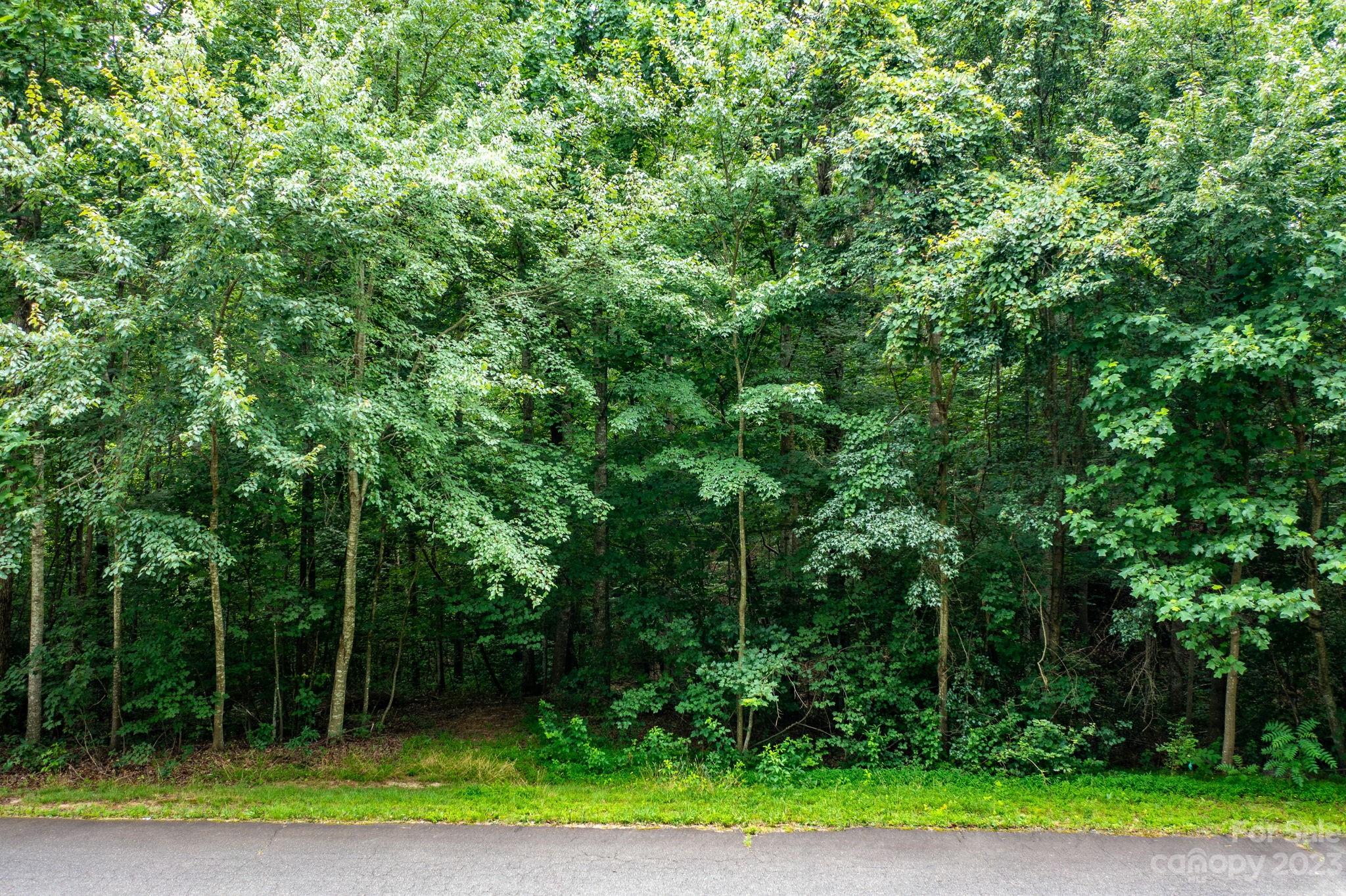 Hildebran, NC Lot for Sale CAR4046973 Caruso Homes