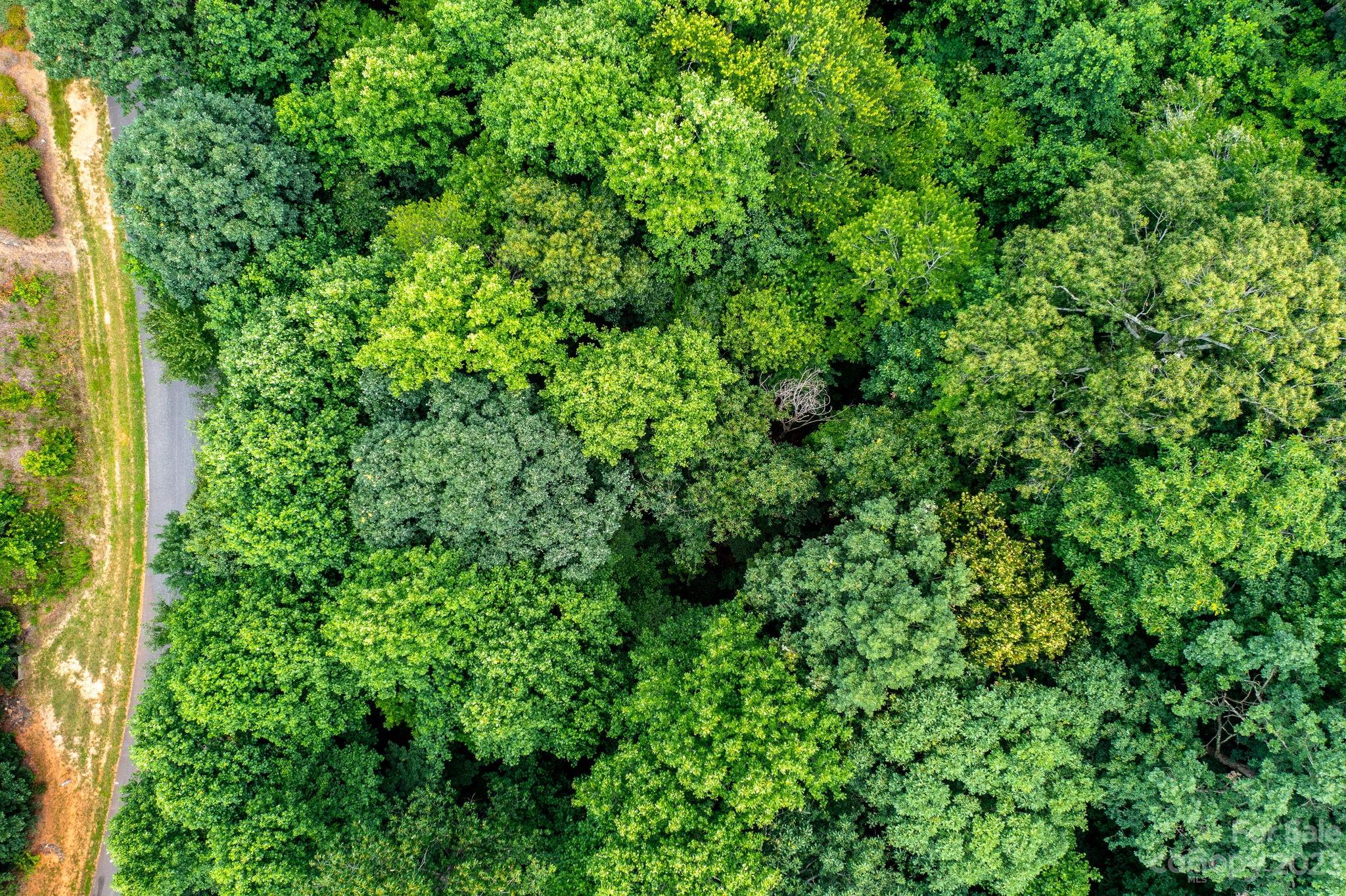 Hildebran, NC Lot for Sale CAR4046973 Caruso Homes