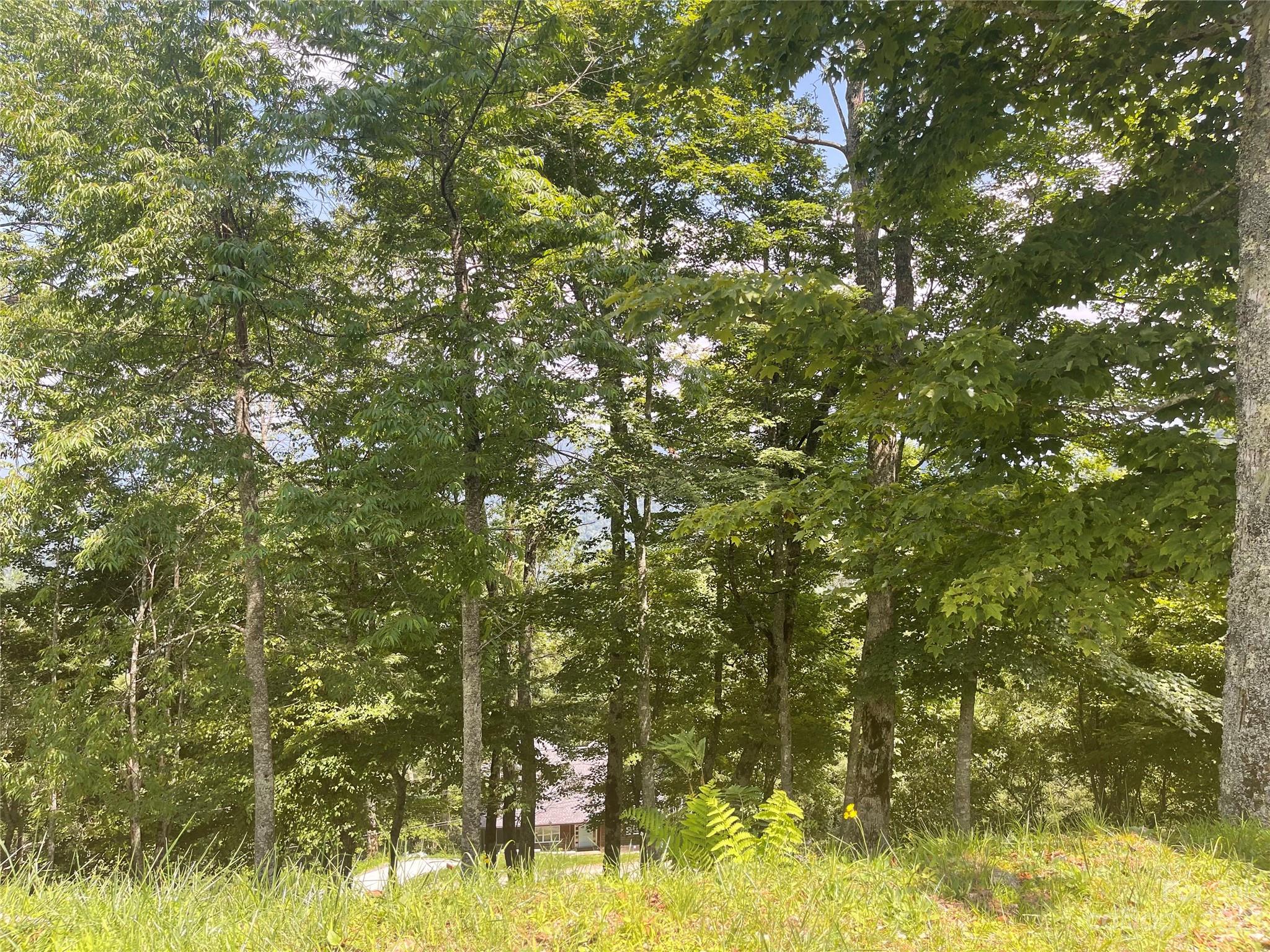 mars-hill-nc-lot-for-sale-car4052386-caruso-homes