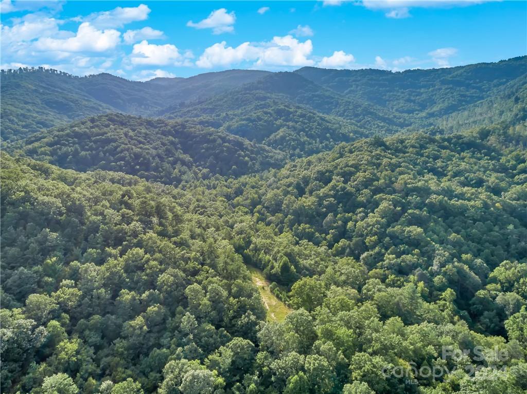 Marion, NC Lot for Sale CAR4056001 Caruso Homes