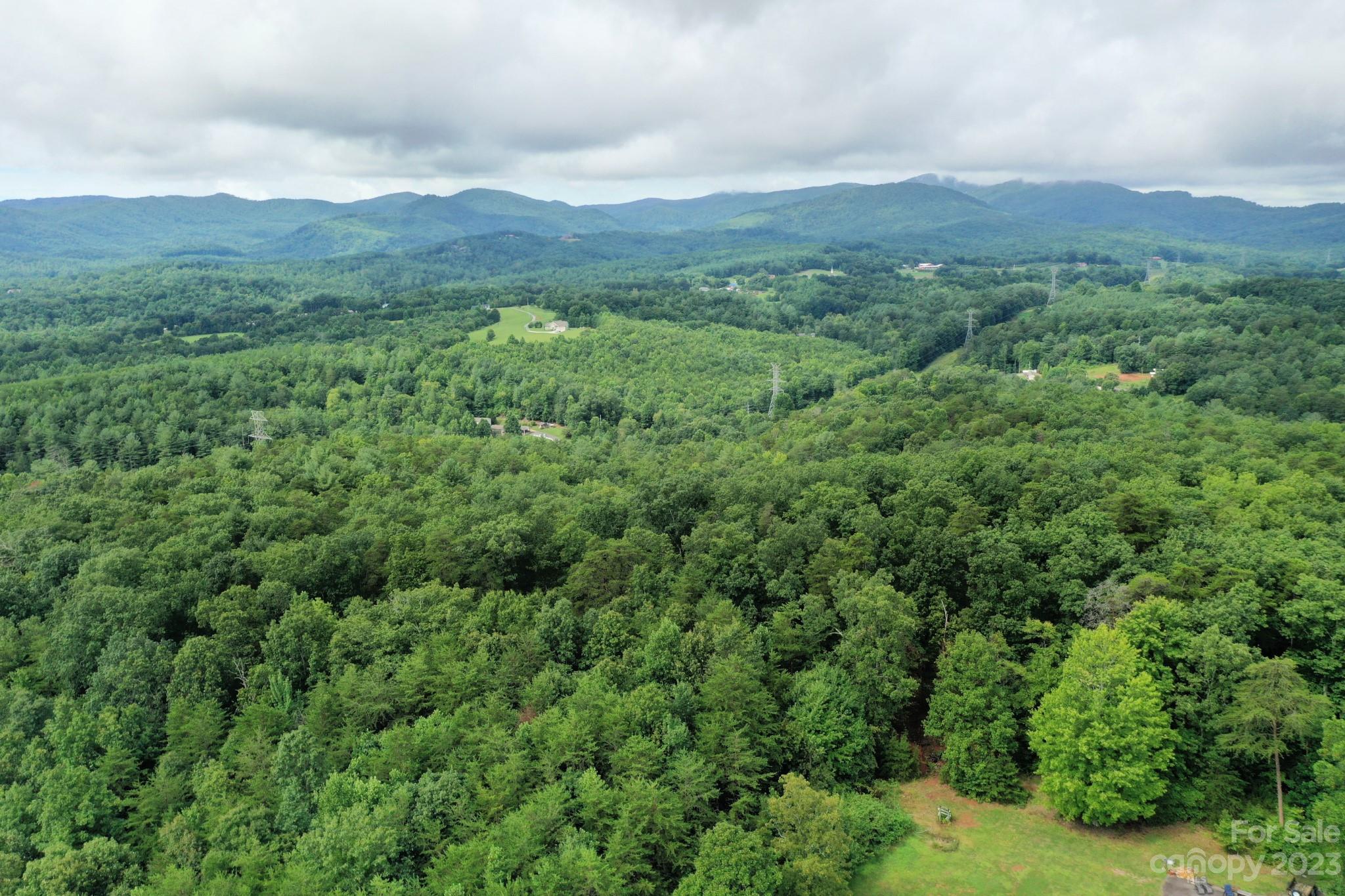 Used Car Lot Nc at Vanessa Benites blog