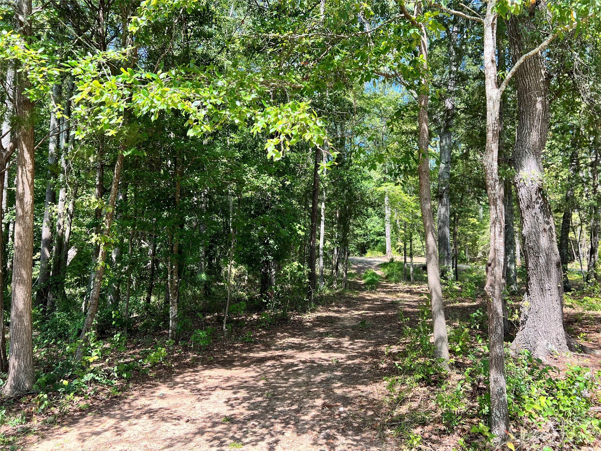 Fort Lawn, SC Lot for Sale CAR4061037 Caruso Homes