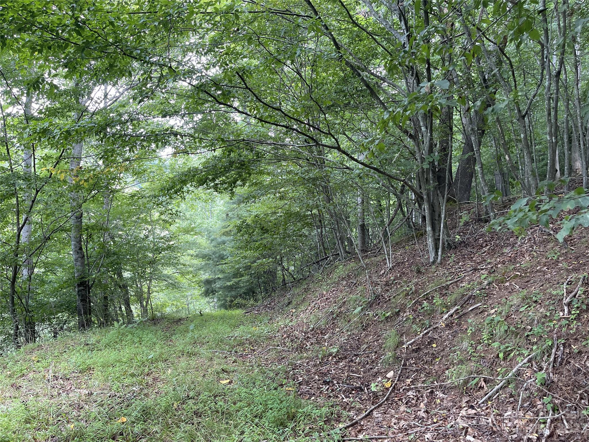 Vilas, NC Lot for Sale CAR4061646 Caruso Homes