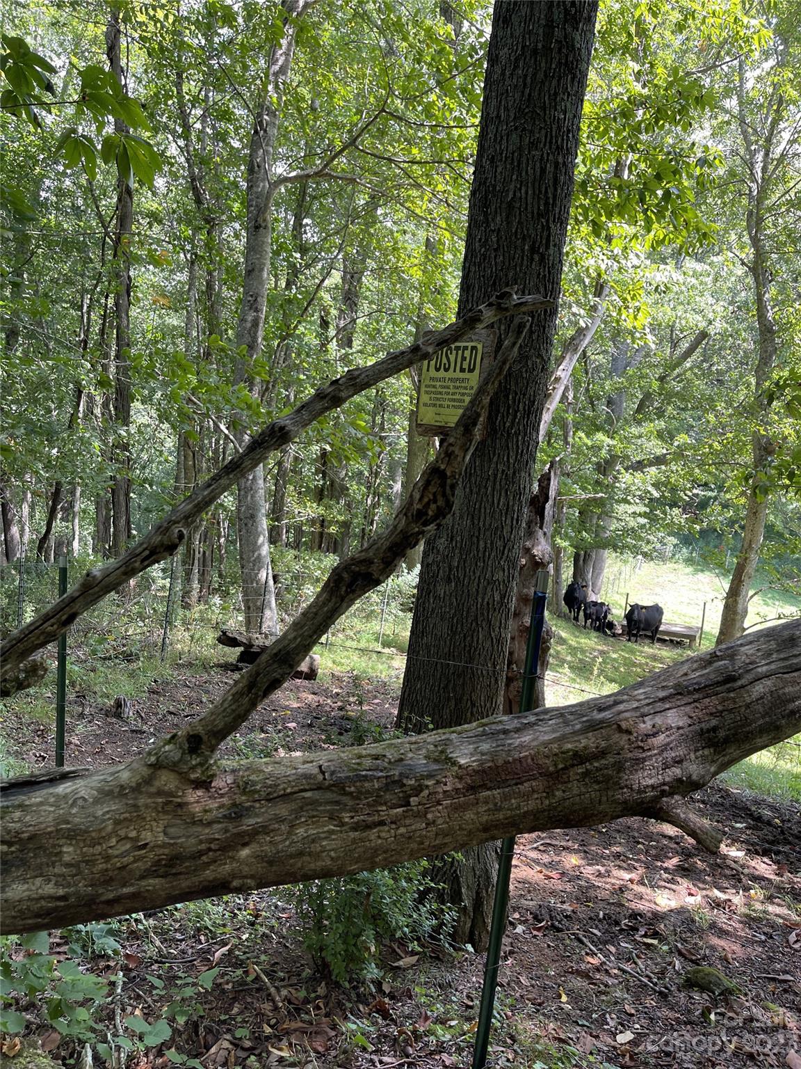 Vilas, NC Lot for Sale CAR4061646 Caruso Homes