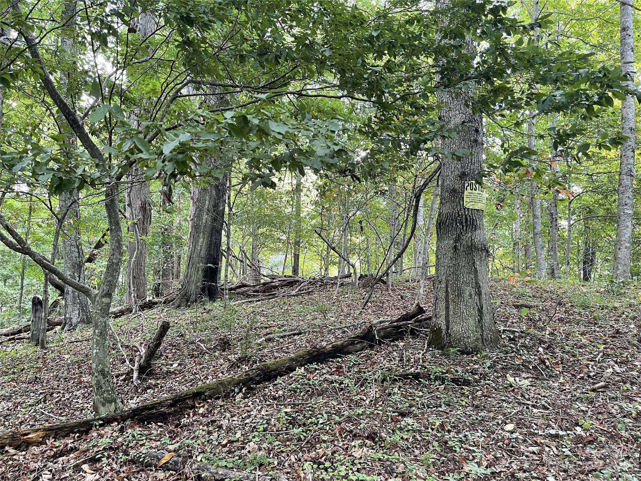 Vilas, NC Lot for Sale CAR4061646 Caruso Homes