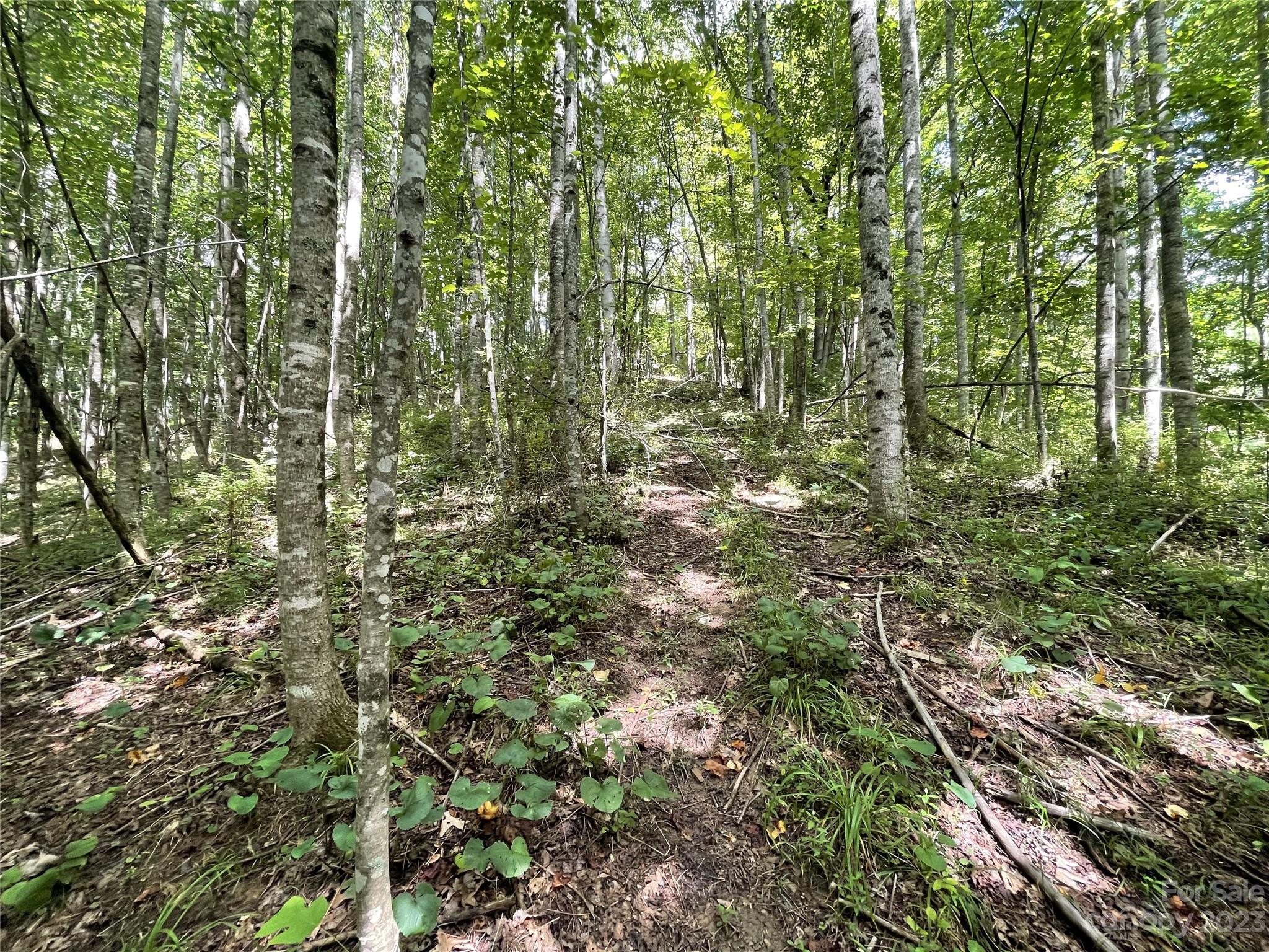 Vilas, NC Lot for Sale CAR4061646 Caruso Homes