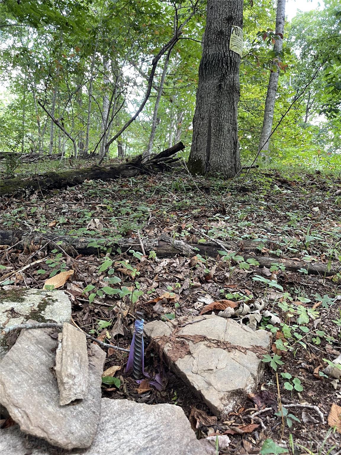 Vilas, NC Lot for Sale CAR4061646 Caruso Homes