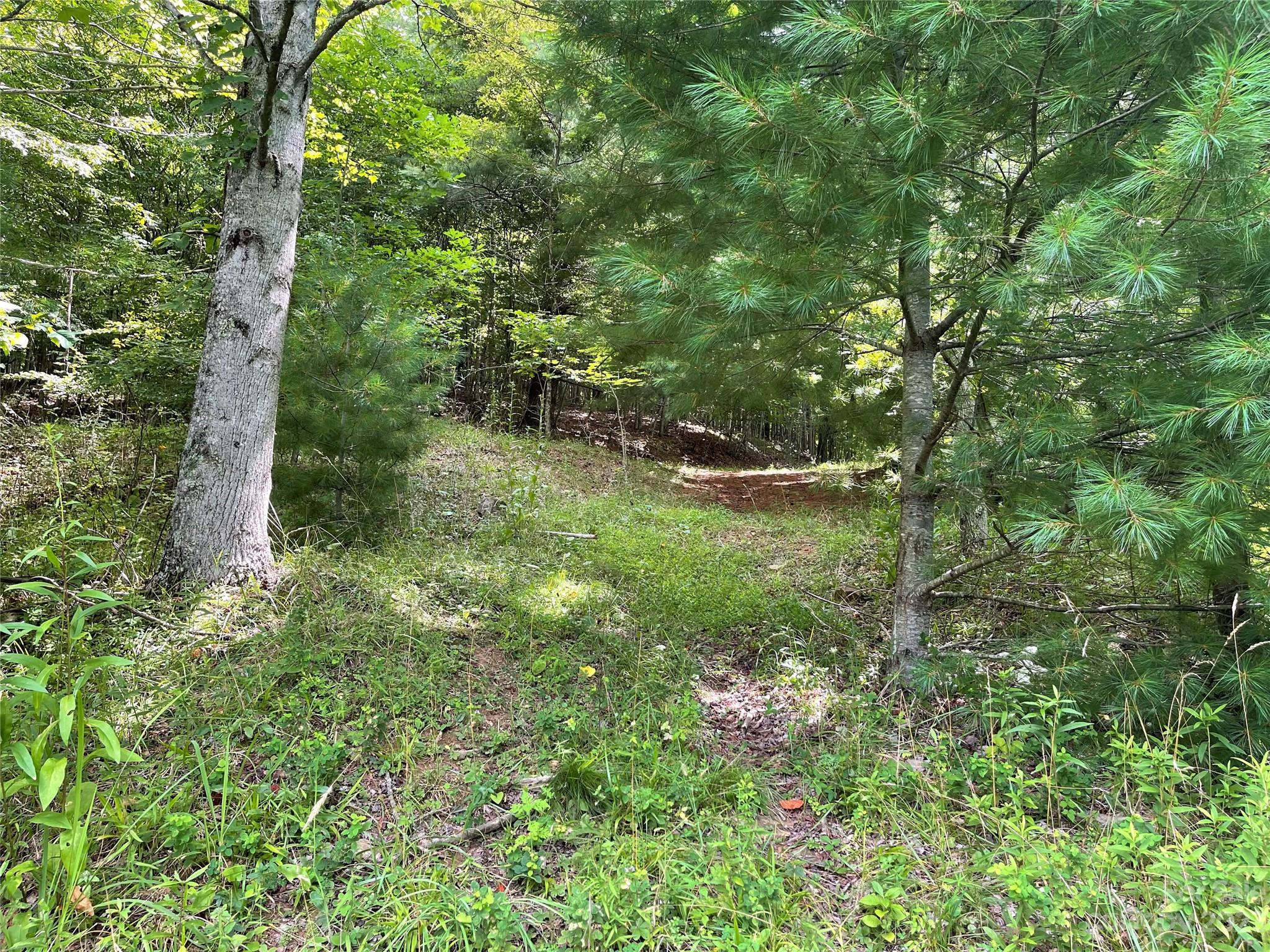 Vilas, NC Lot for Sale CAR4061646 Caruso Homes