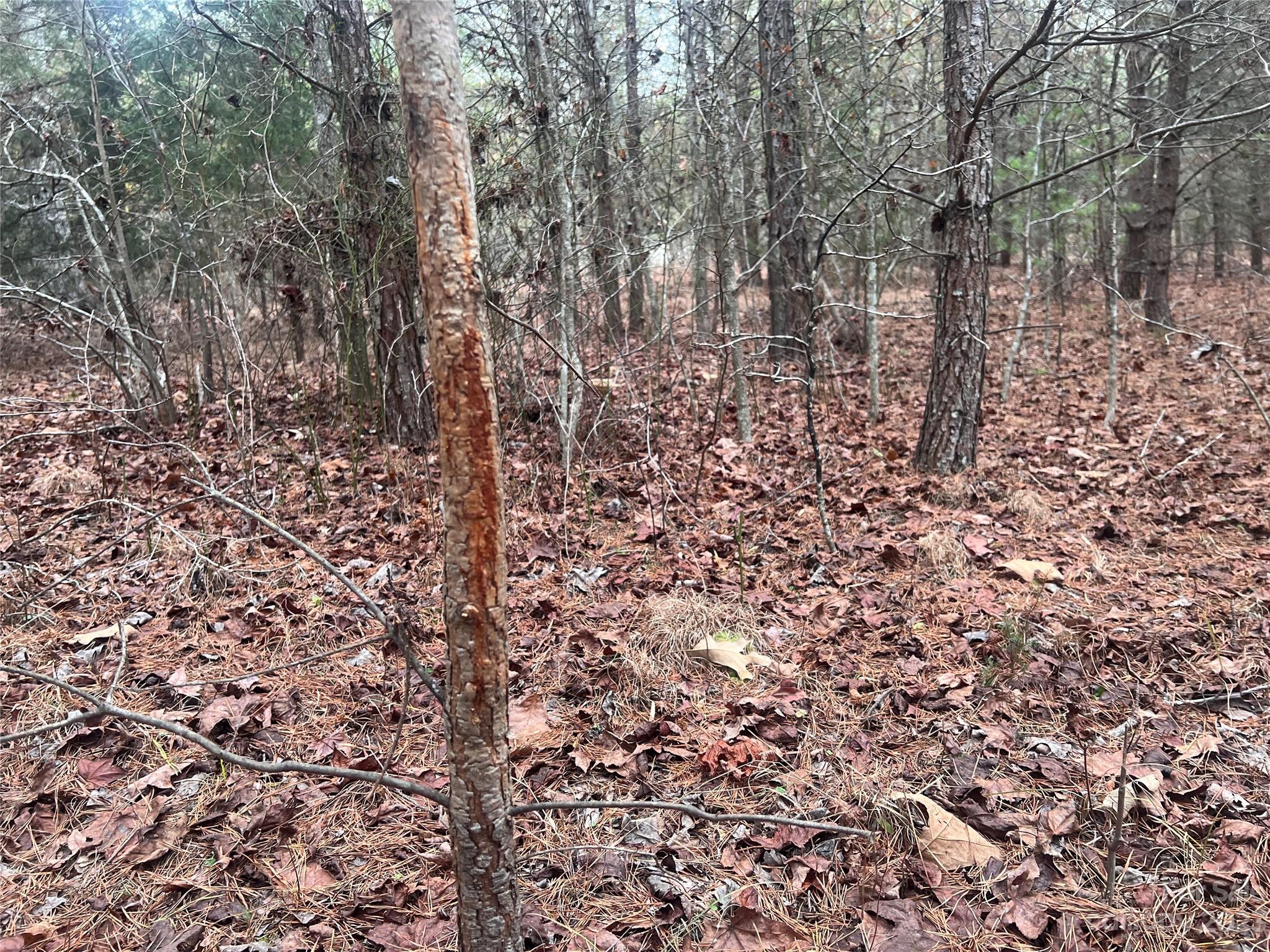 Connelly Springs, NC Lot for Sale CAR4062808 Caruso Homes