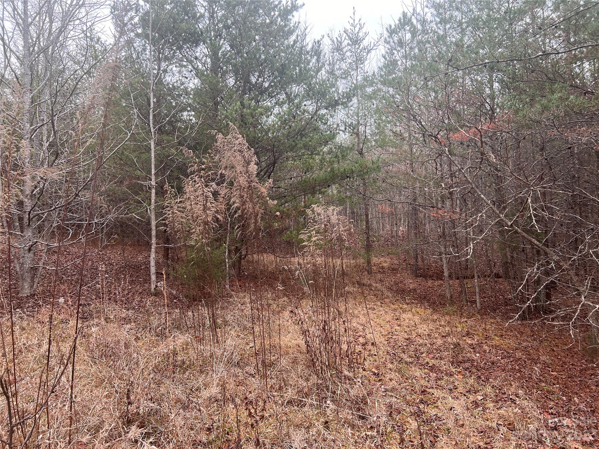 Connelly Springs, NC Lot for Sale CAR4062808 Caruso Homes