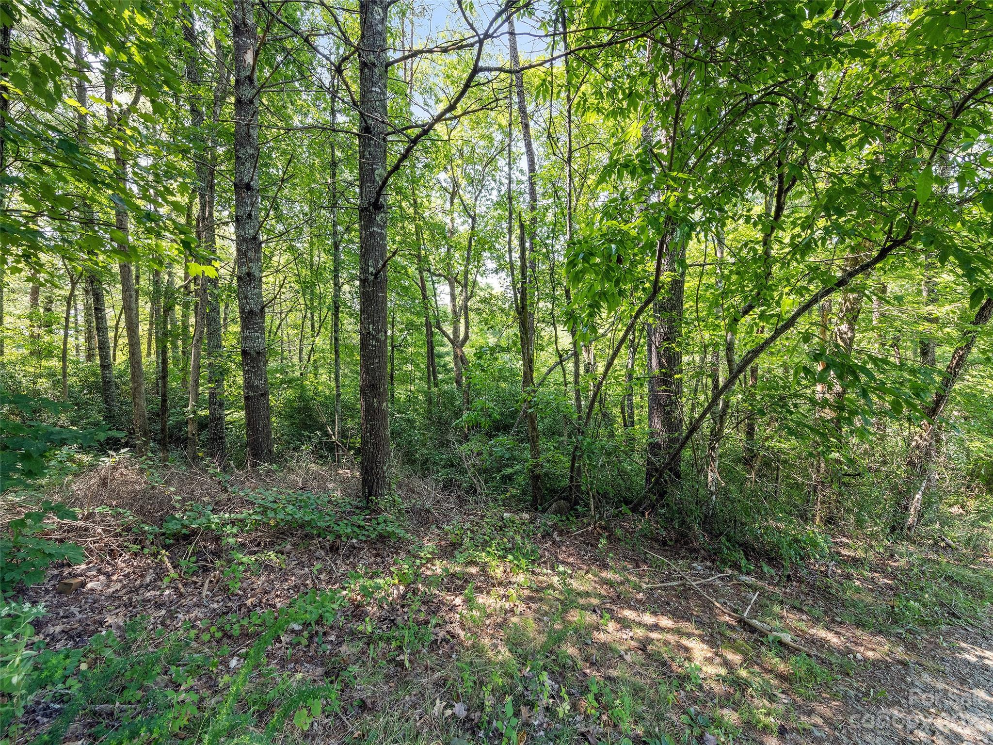 Stecoah, NC Lot for Sale CAR4064664 Caruso Homes