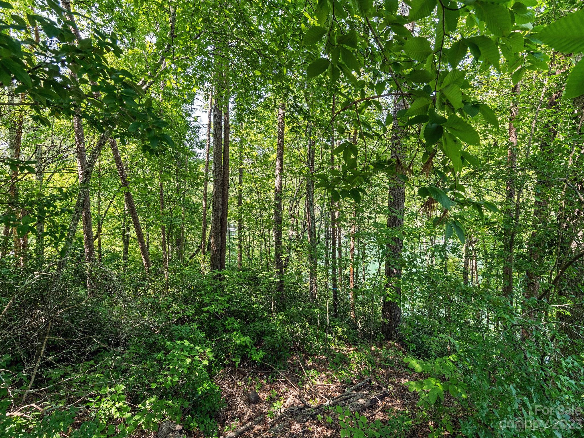 Stecoah, NC Lot for Sale CAR4064664 Caruso Homes