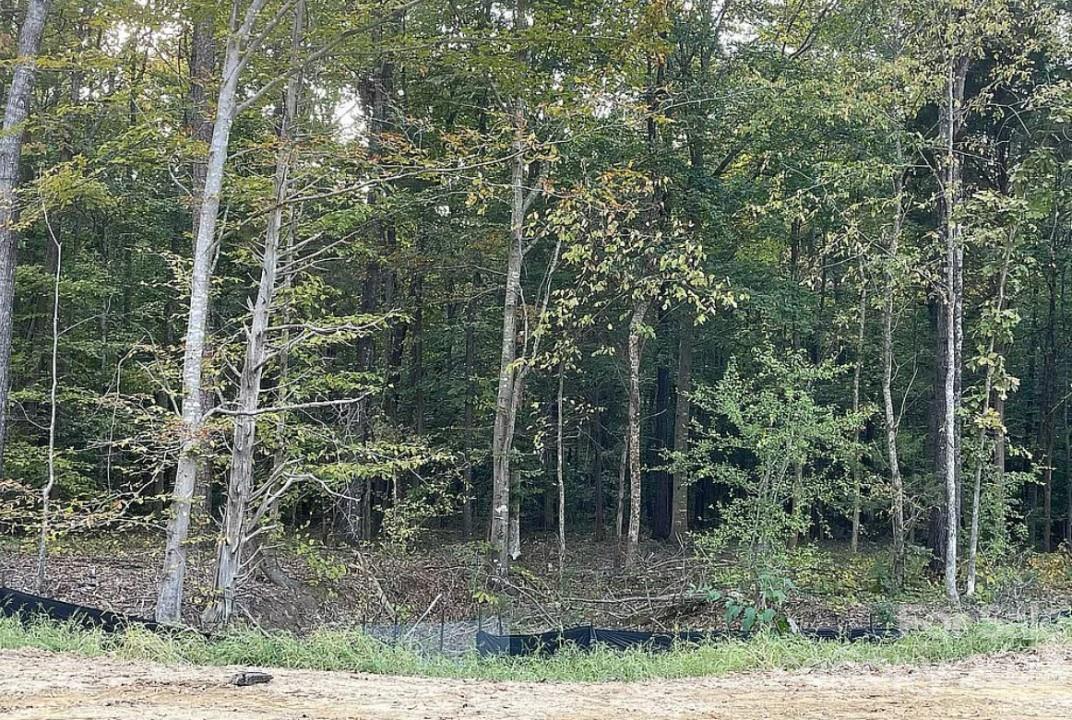Huntersville, NC Lot for Sale CAR4066346 Caruso Homes
