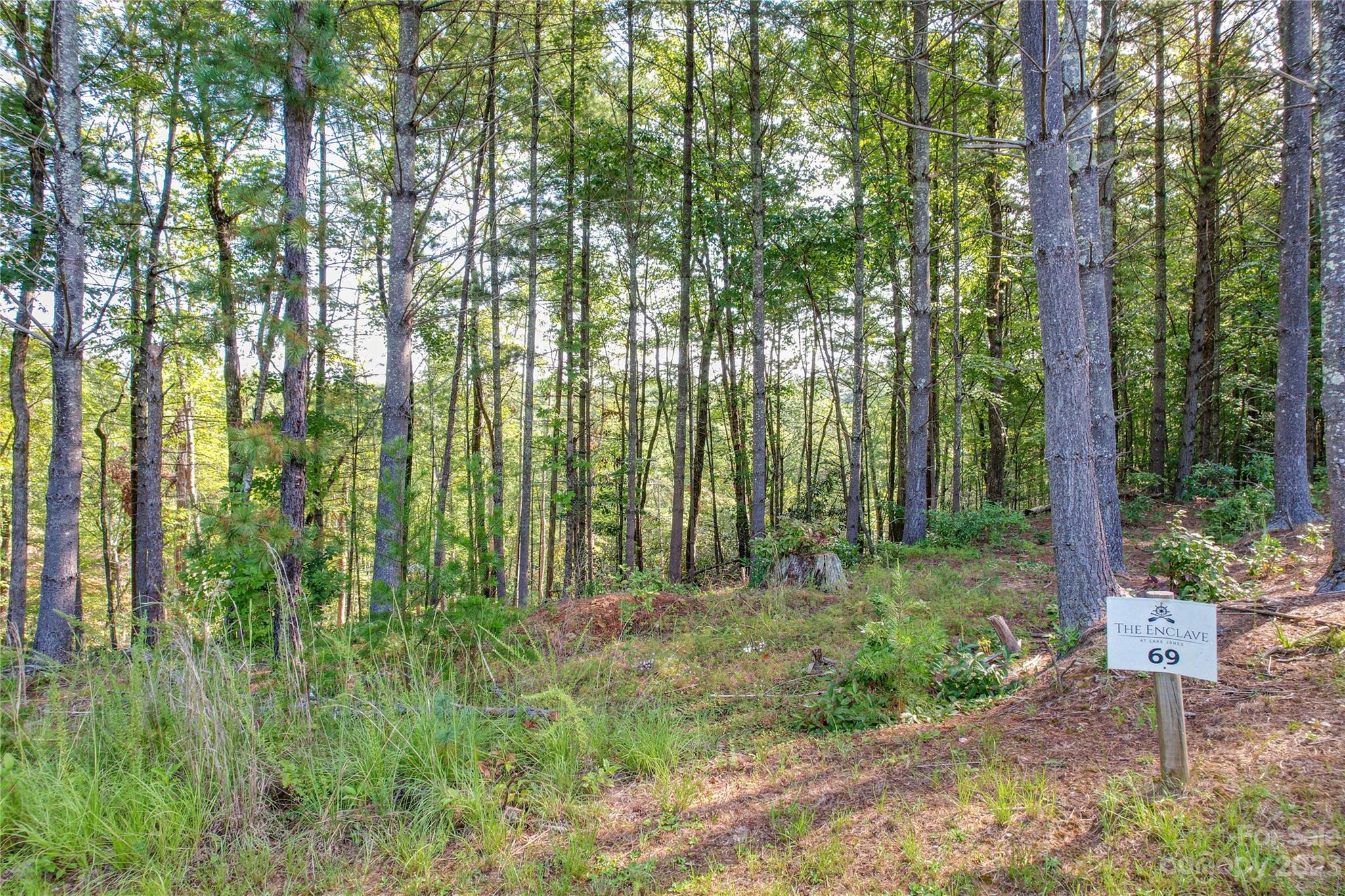 Nebo, NC Lot for Sale CAR4067369 Caruso Homes