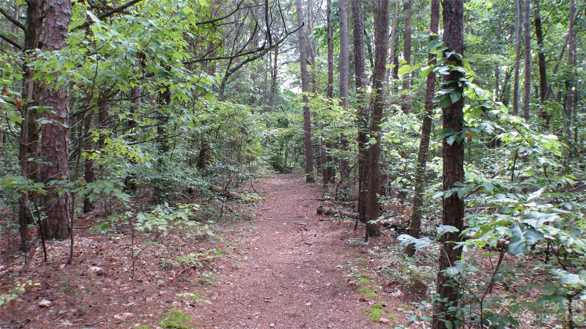 Terrell, NC Lot for Sale CAR4068403 Caruso Homes