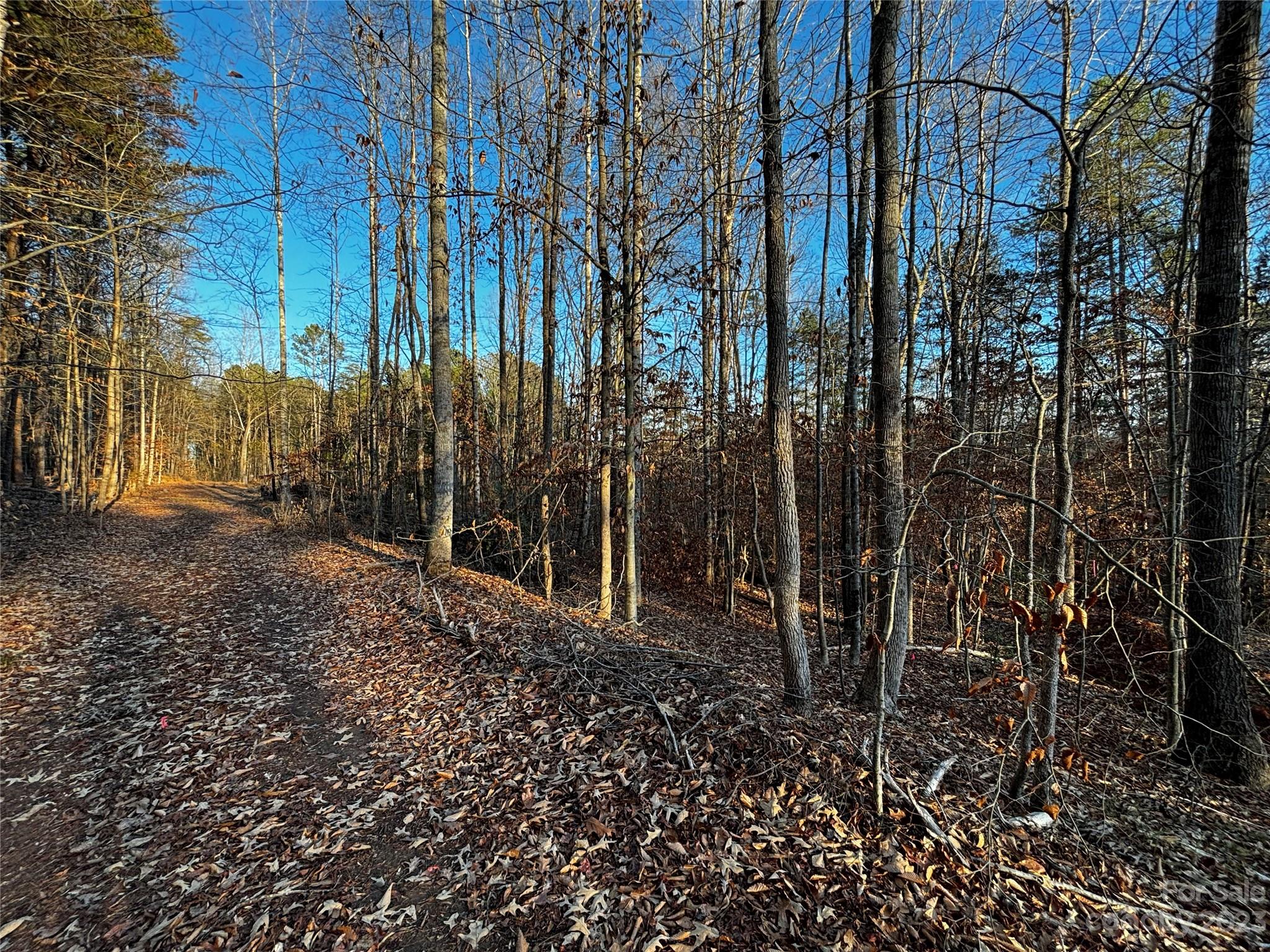 Catawba, NC Lot for Sale CAR4069236 Caruso Homes