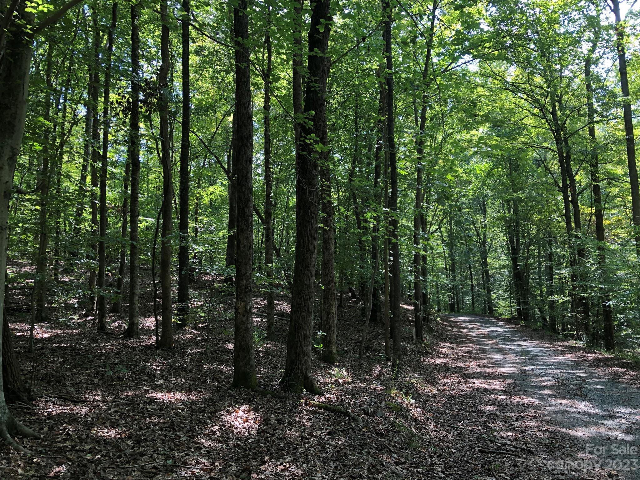 Thomasville, NC Lot for Sale CAR4069412 Caruso Homes