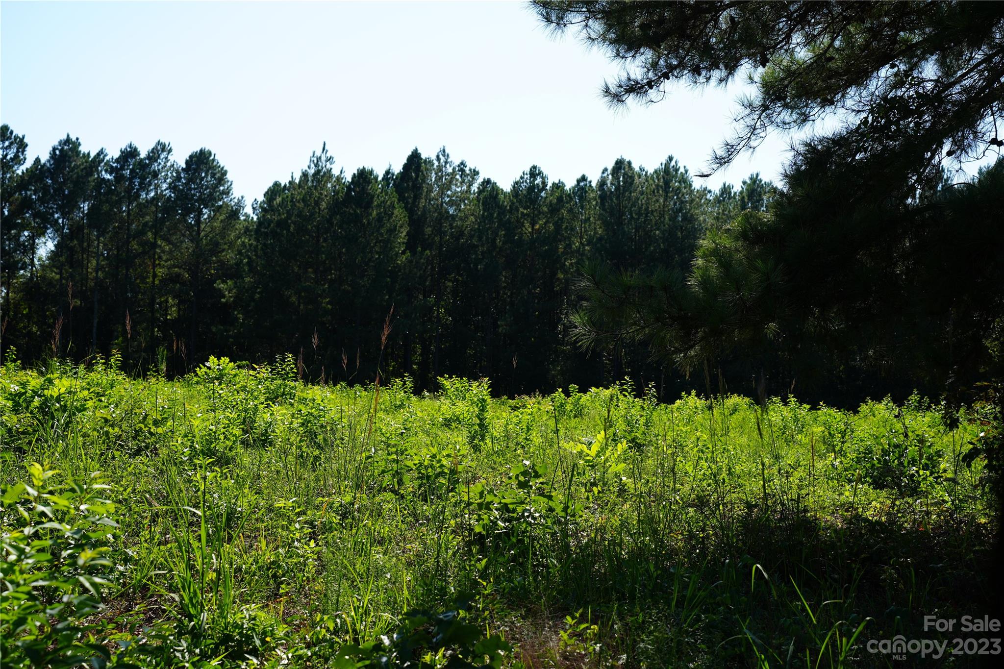 Lawndale, NC Lot for Sale CAR4070505 Caruso Homes