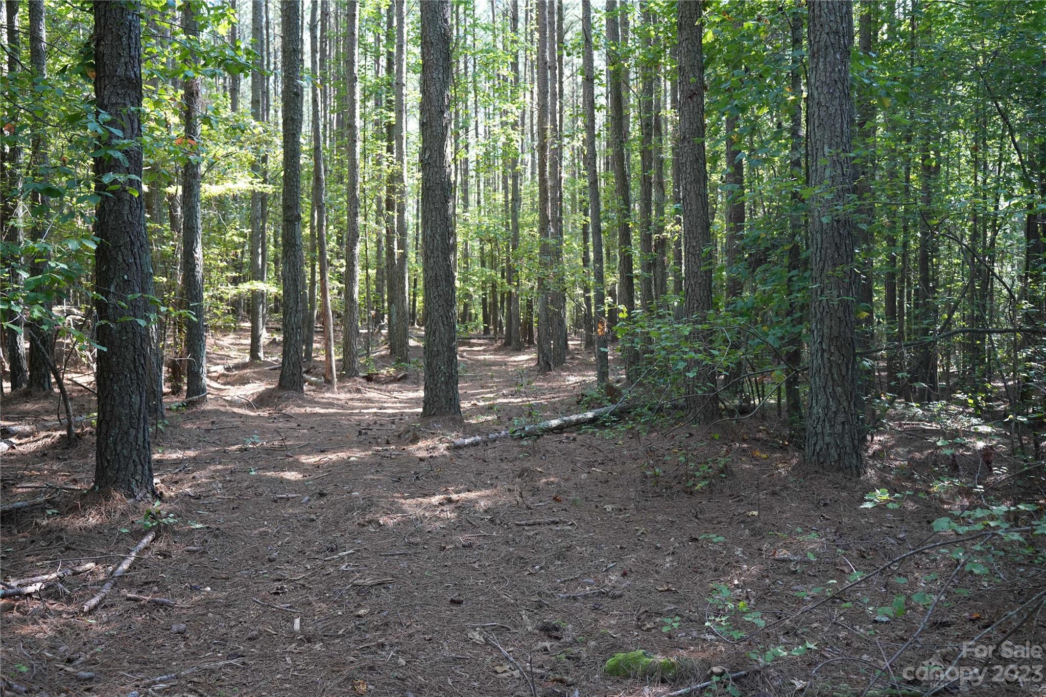 Lawndale, NC Lot for Sale CAR4070512 Caruso Homes