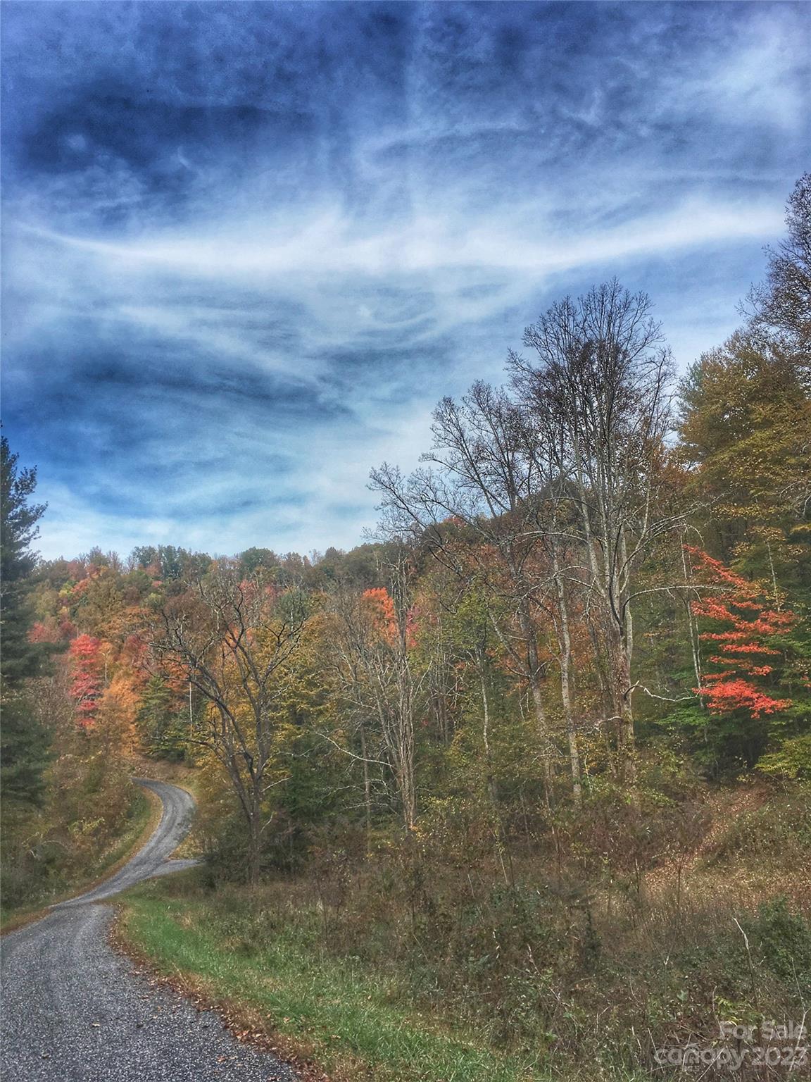 Weaverville, NC Lot for Sale CAR4072609 Caruso Homes