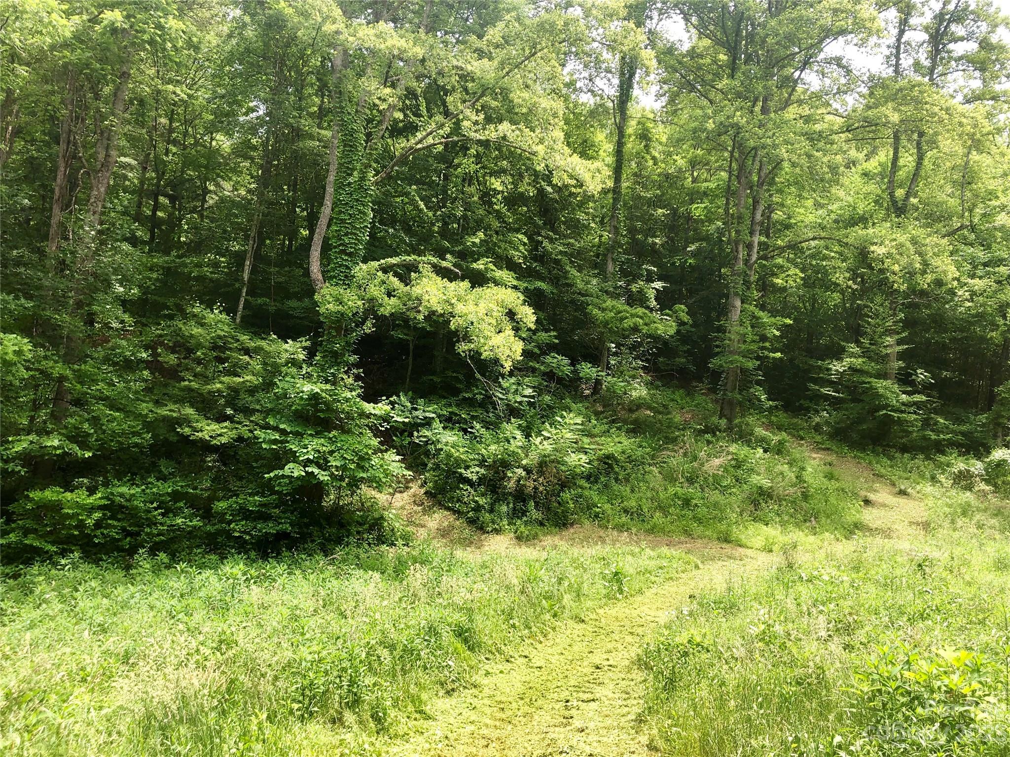 Weaverville, NC Lot for Sale CAR4072609 Caruso Homes