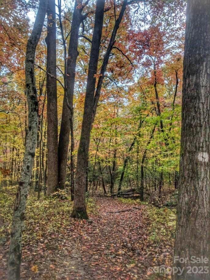 Weaverville, NC Lot for Sale CAR4072609 Caruso Homes