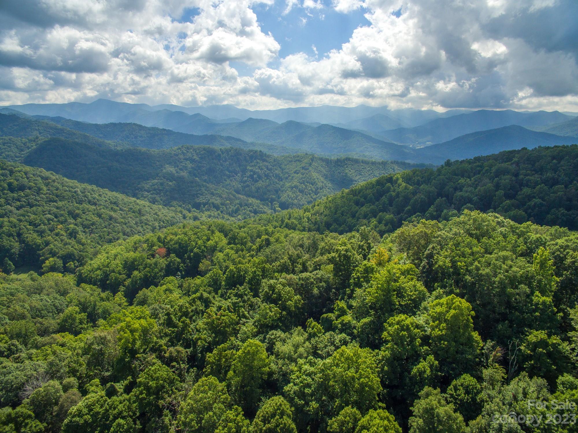 Weaverville, NC Lot for Sale CAR4072609 Caruso Homes