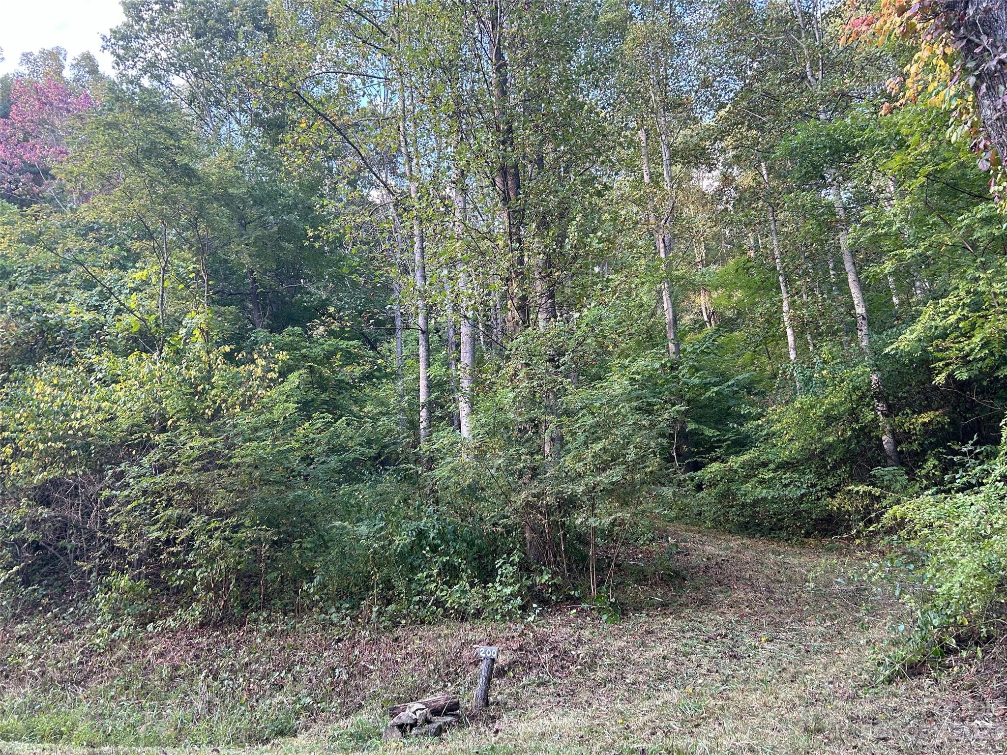 Weaverville, NC Lot for Sale CAR4072614 Caruso Homes