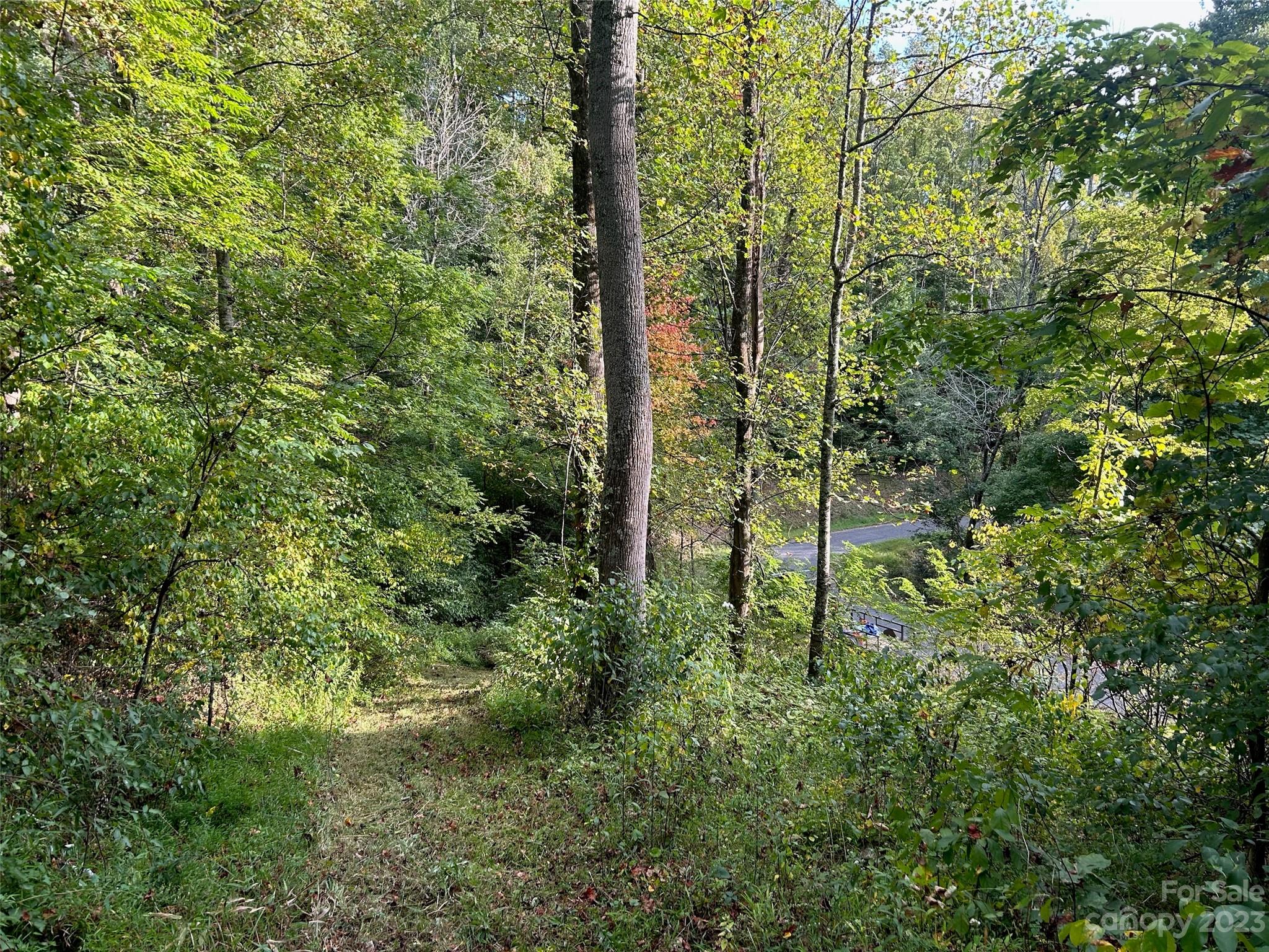 Weaverville, NC Lot for Sale CAR4072614 Caruso Homes