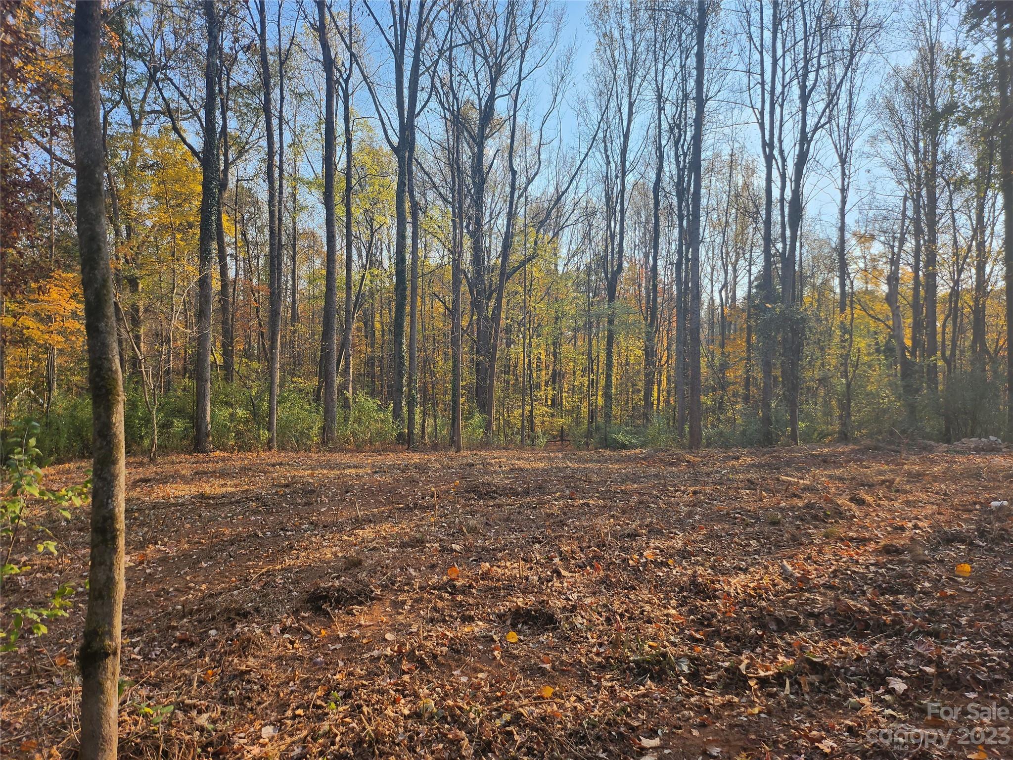 Huntersville, NC Lot for Sale CAR4074508 Caruso Homes